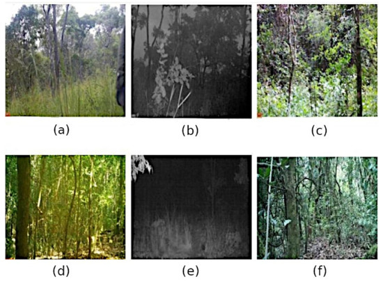 Sensors 22 05386 g001
