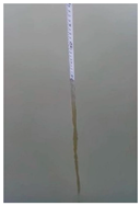 Sensors 22 05399 i014