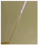 Sensors 22 05399 i023