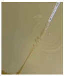 Sensors 22 05399 i024