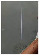 Sensors 22 05399 i026