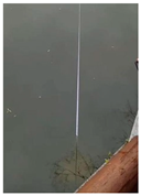 Sensors 22 05399 i027