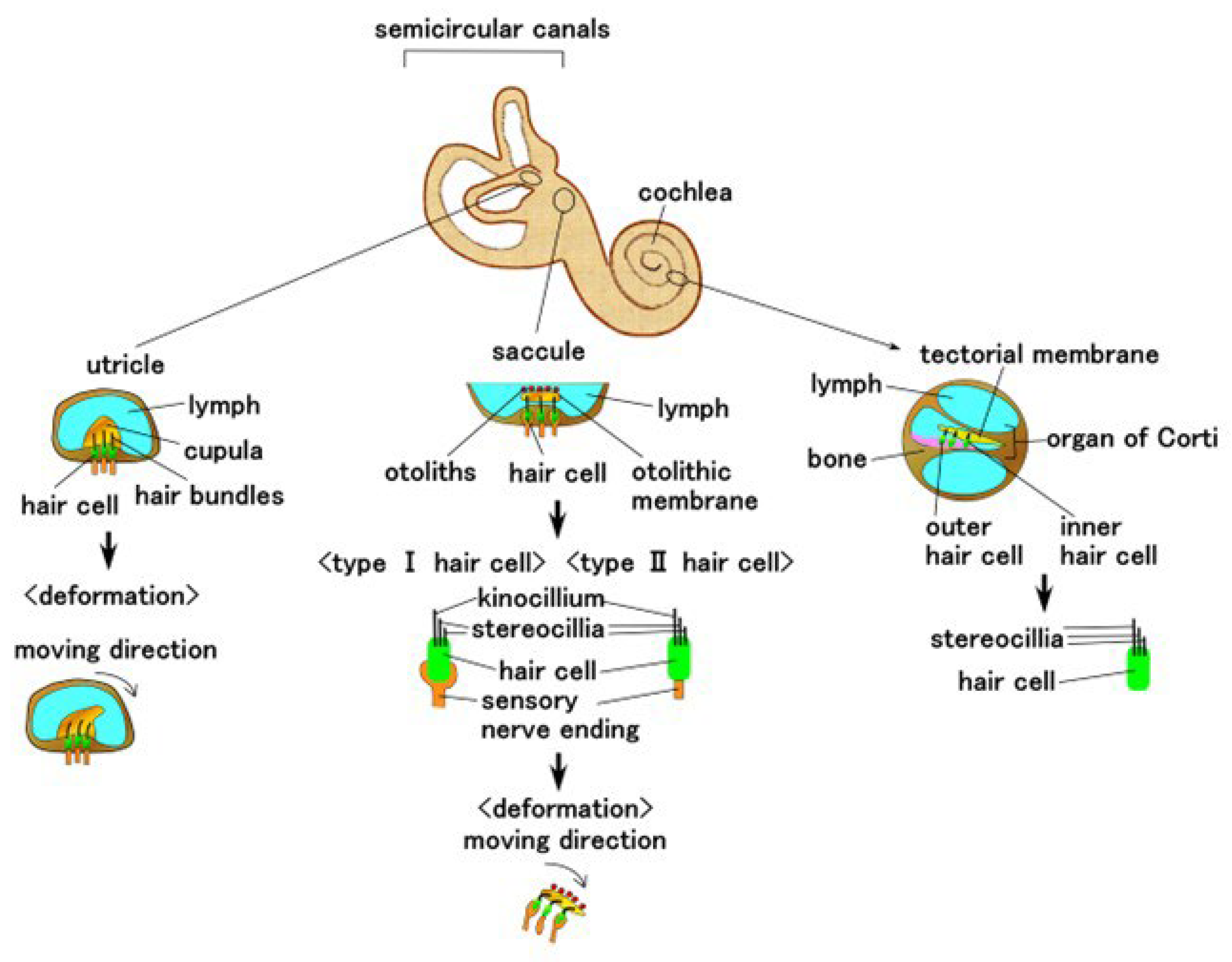 Sensors 22 05447 g001
