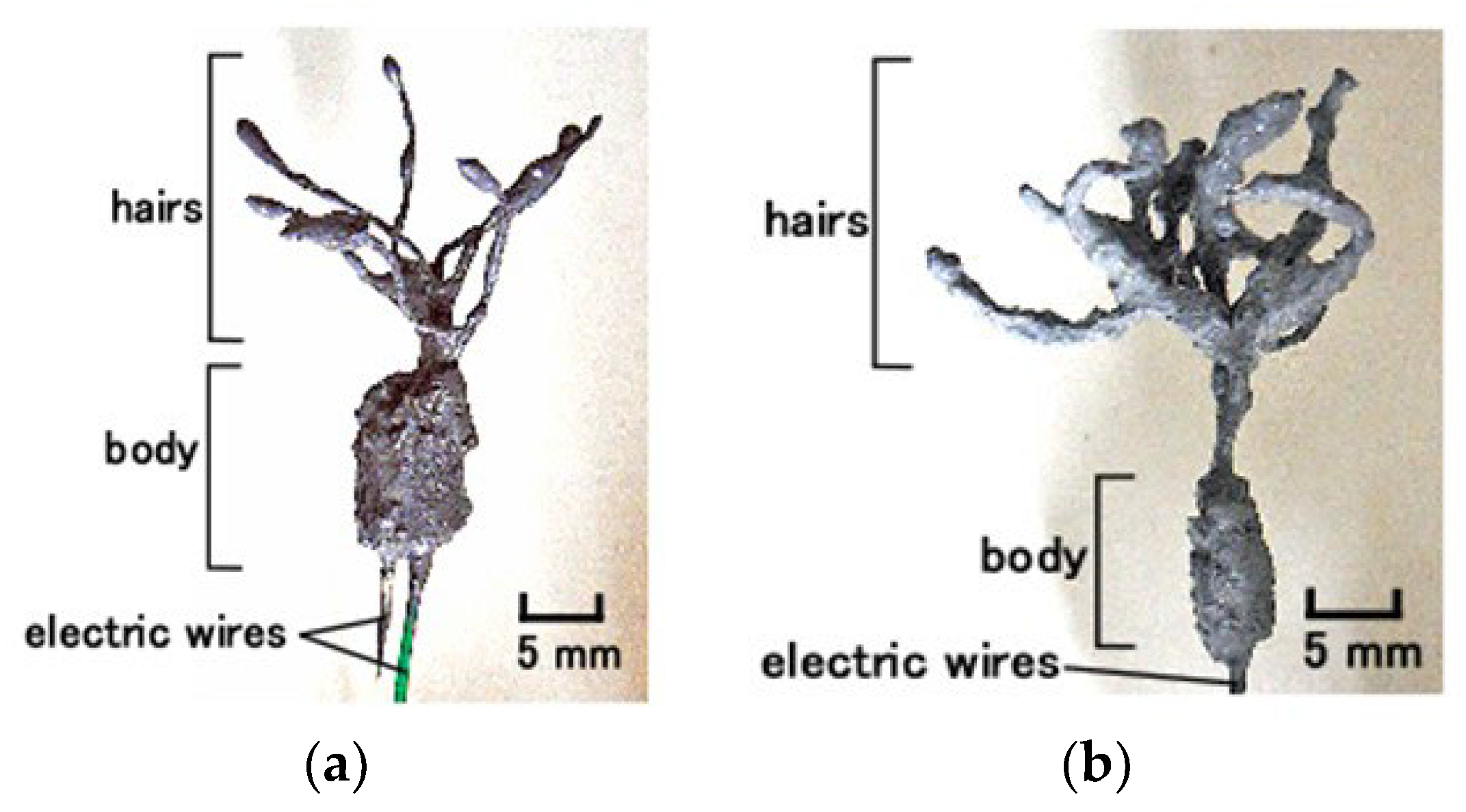 Sensors 22 05447 g002