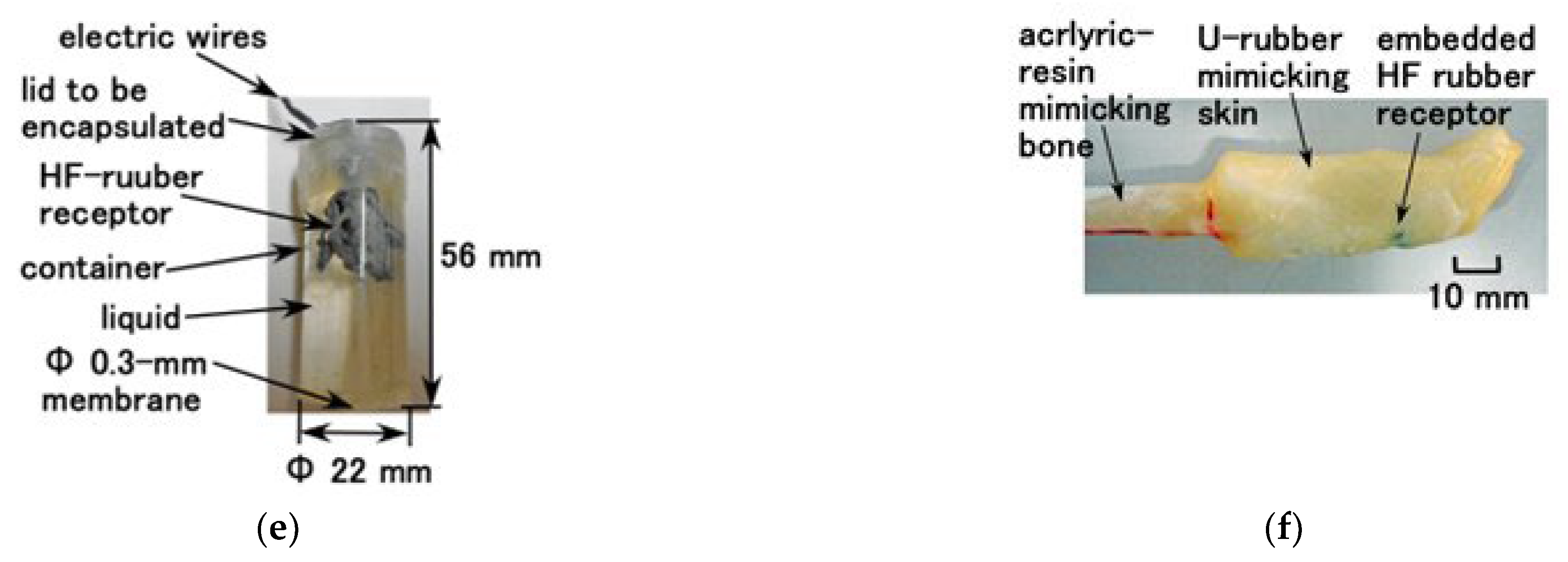 Sensors 22 05447 g004b