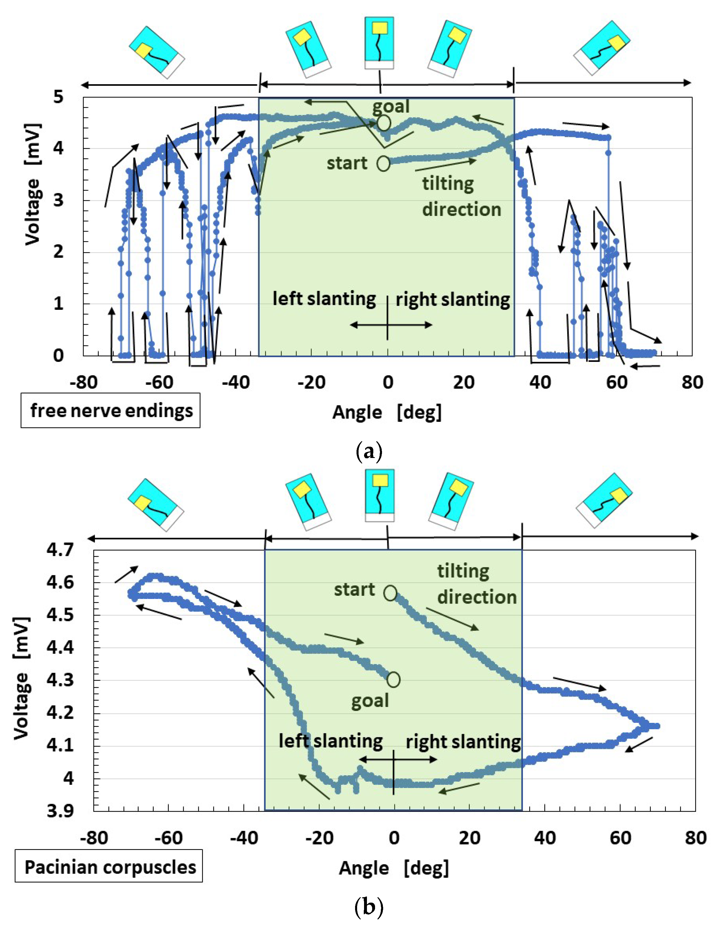 Sensors 22 05447 g011