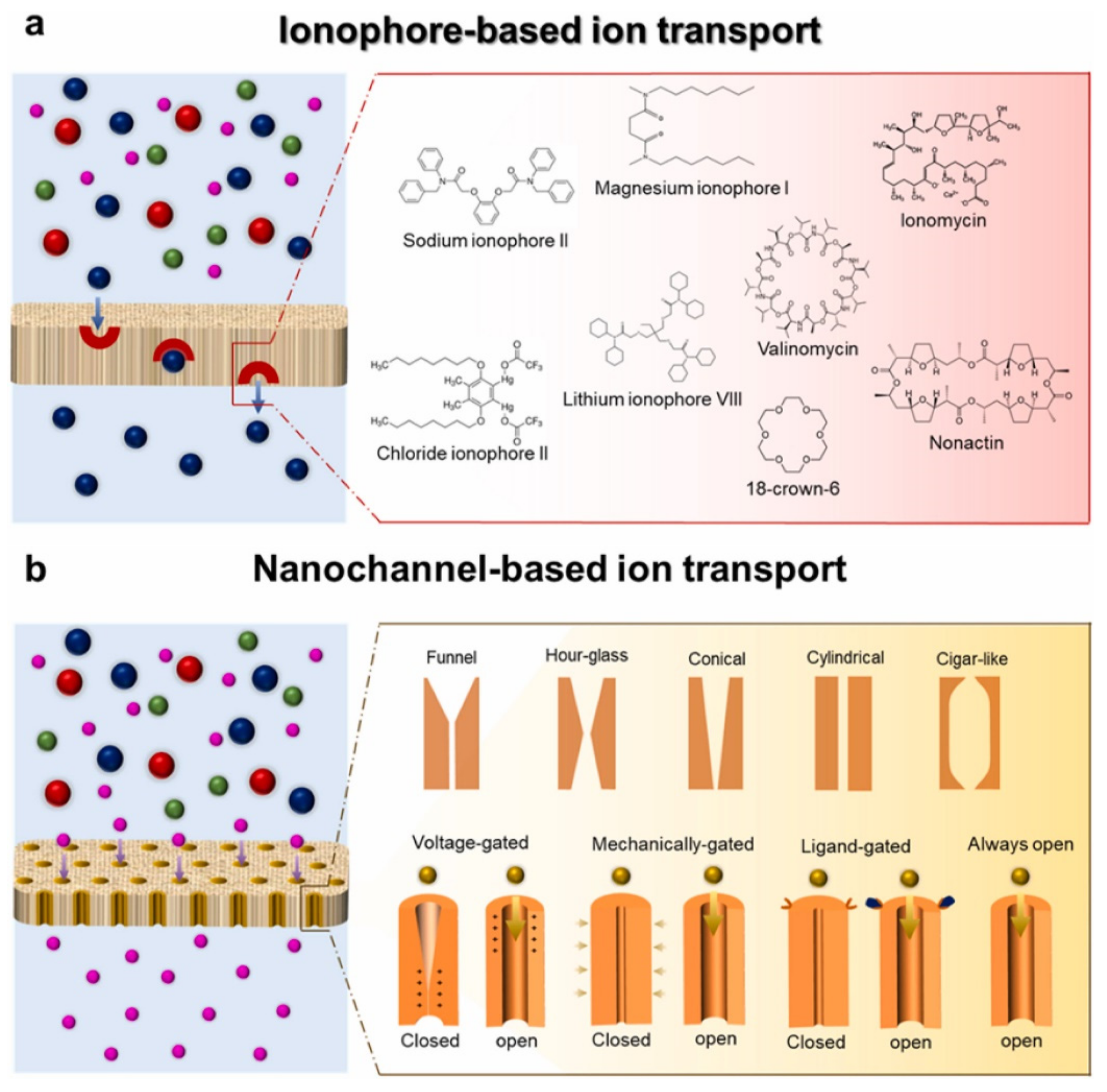 Sensors 22 05541 g003 Sensors 22 05541 g003