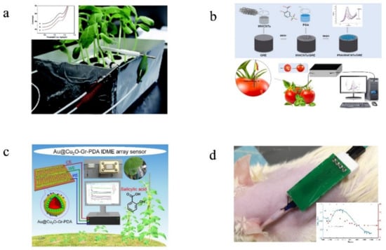 Sensors 22 05541 g006