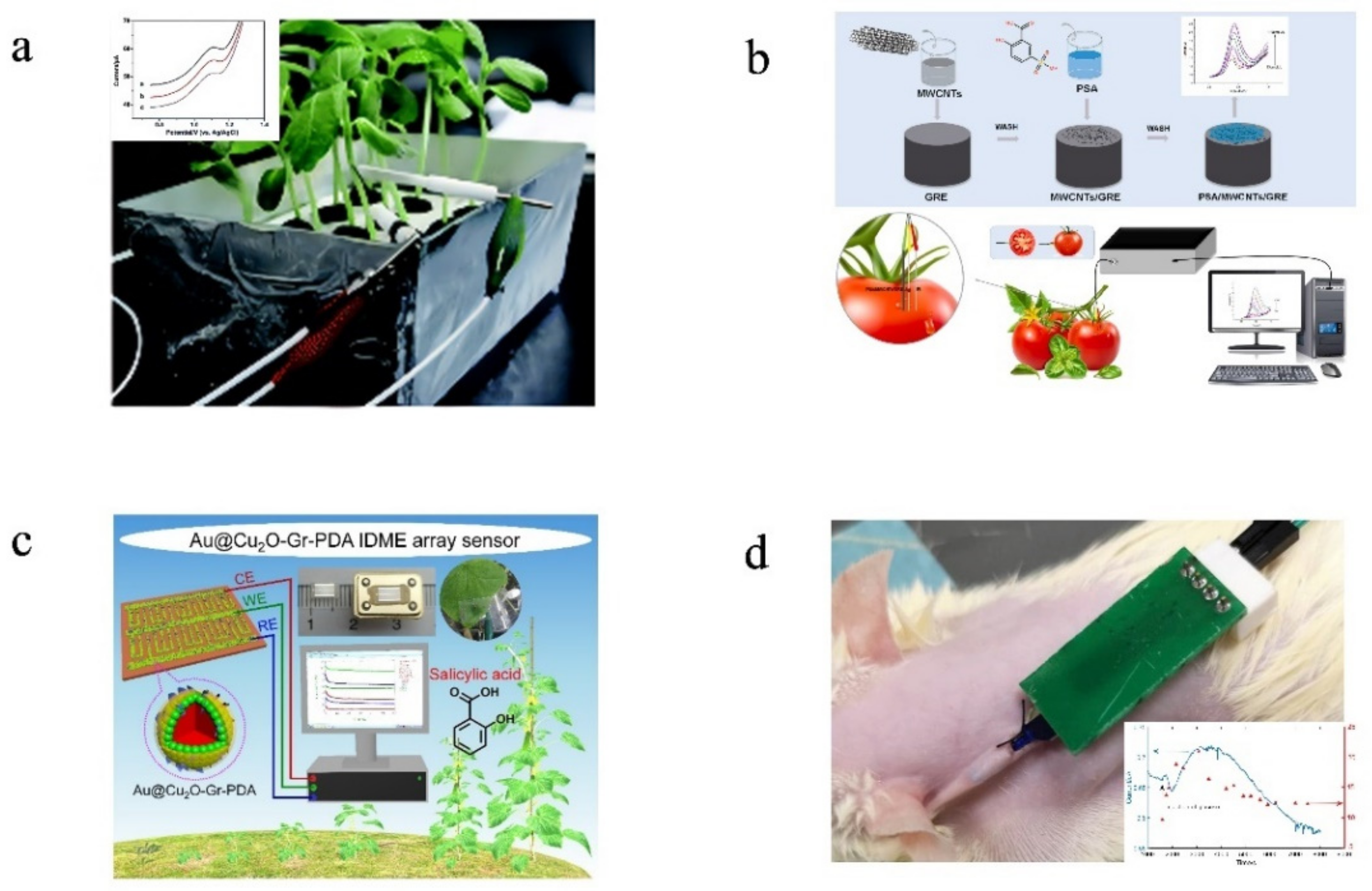 Sensors 22 05541 g006 Sensors 22 05541 g006