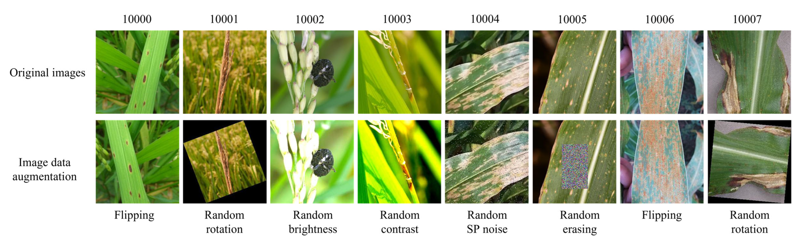 Sensors 22 05550 g001