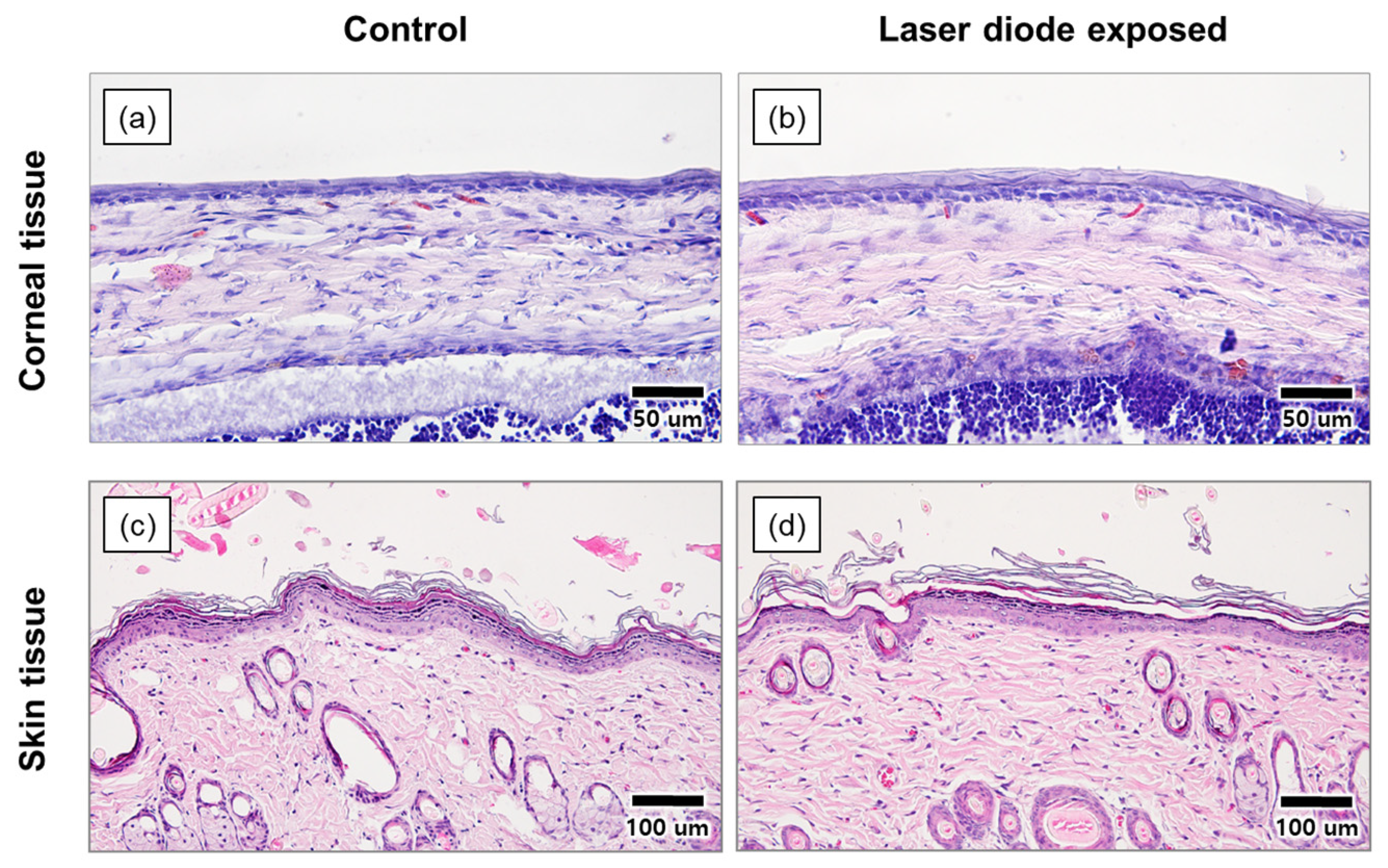 Sensors 22 05597 g008