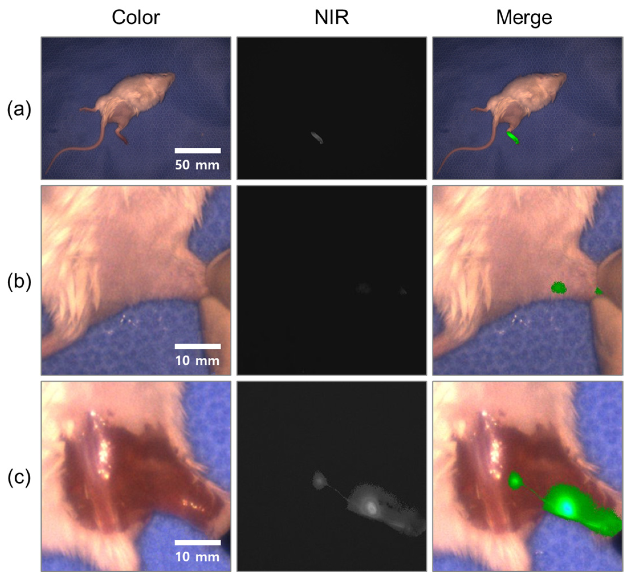 Sensors 22 05597 g009