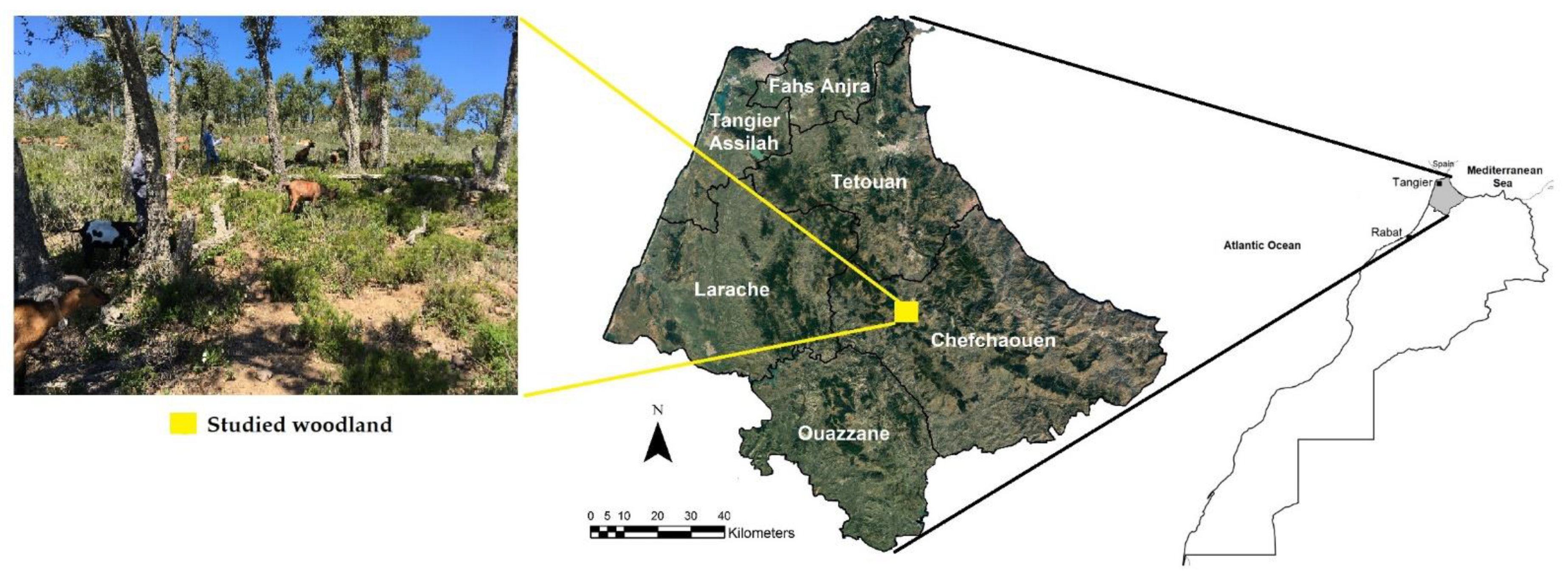 Sensors 22 05629 g001