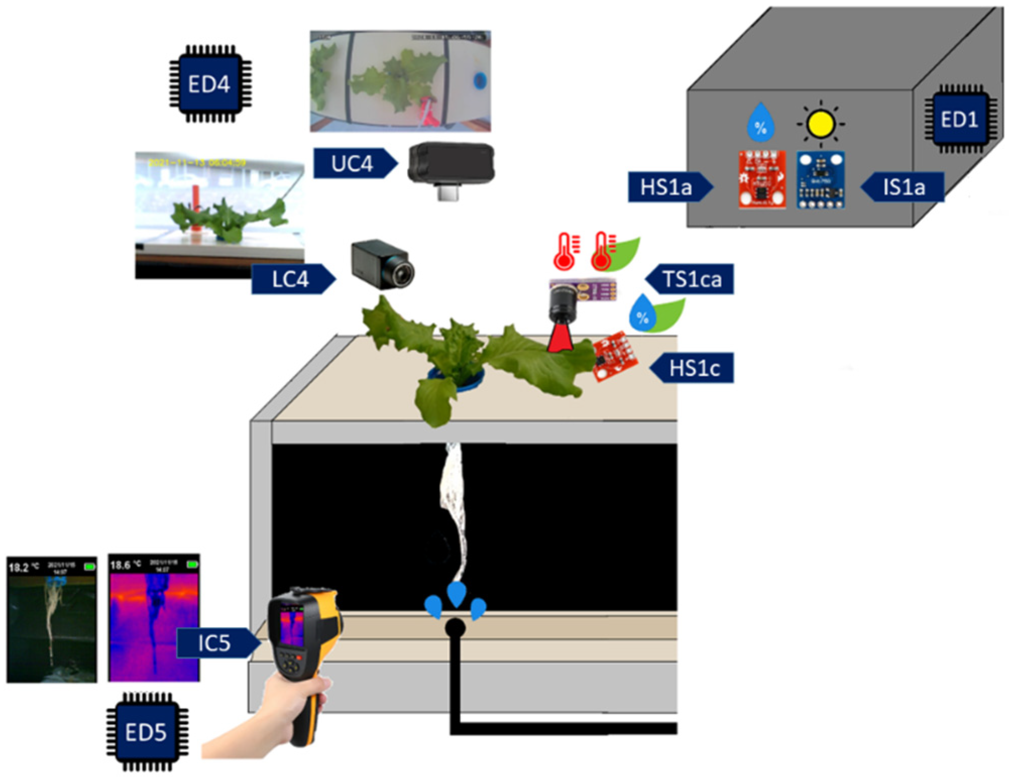 Sensors 22 05646 g002