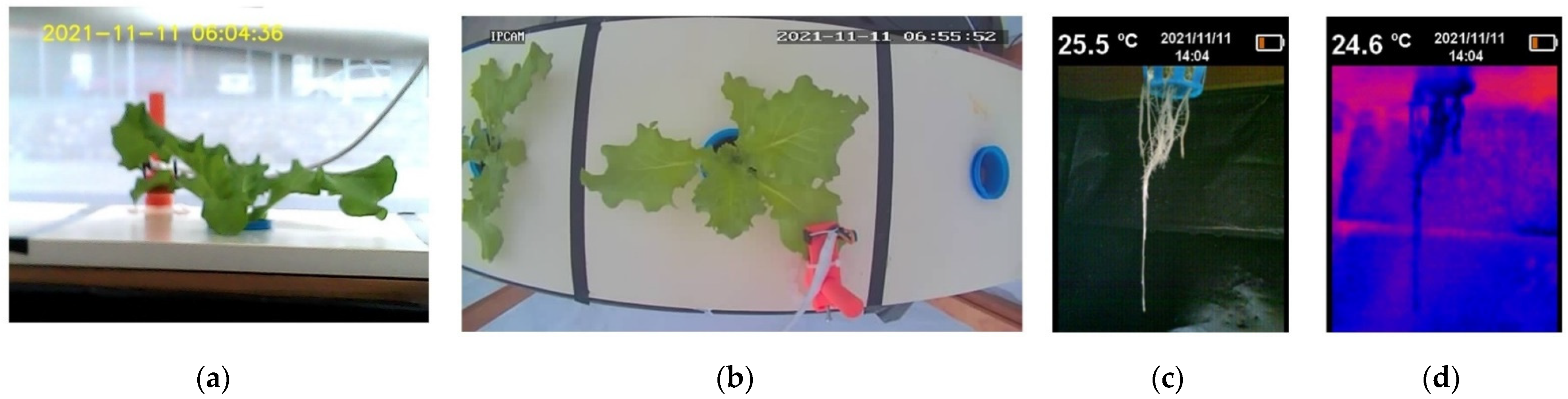 Sensors 22 05646 g010