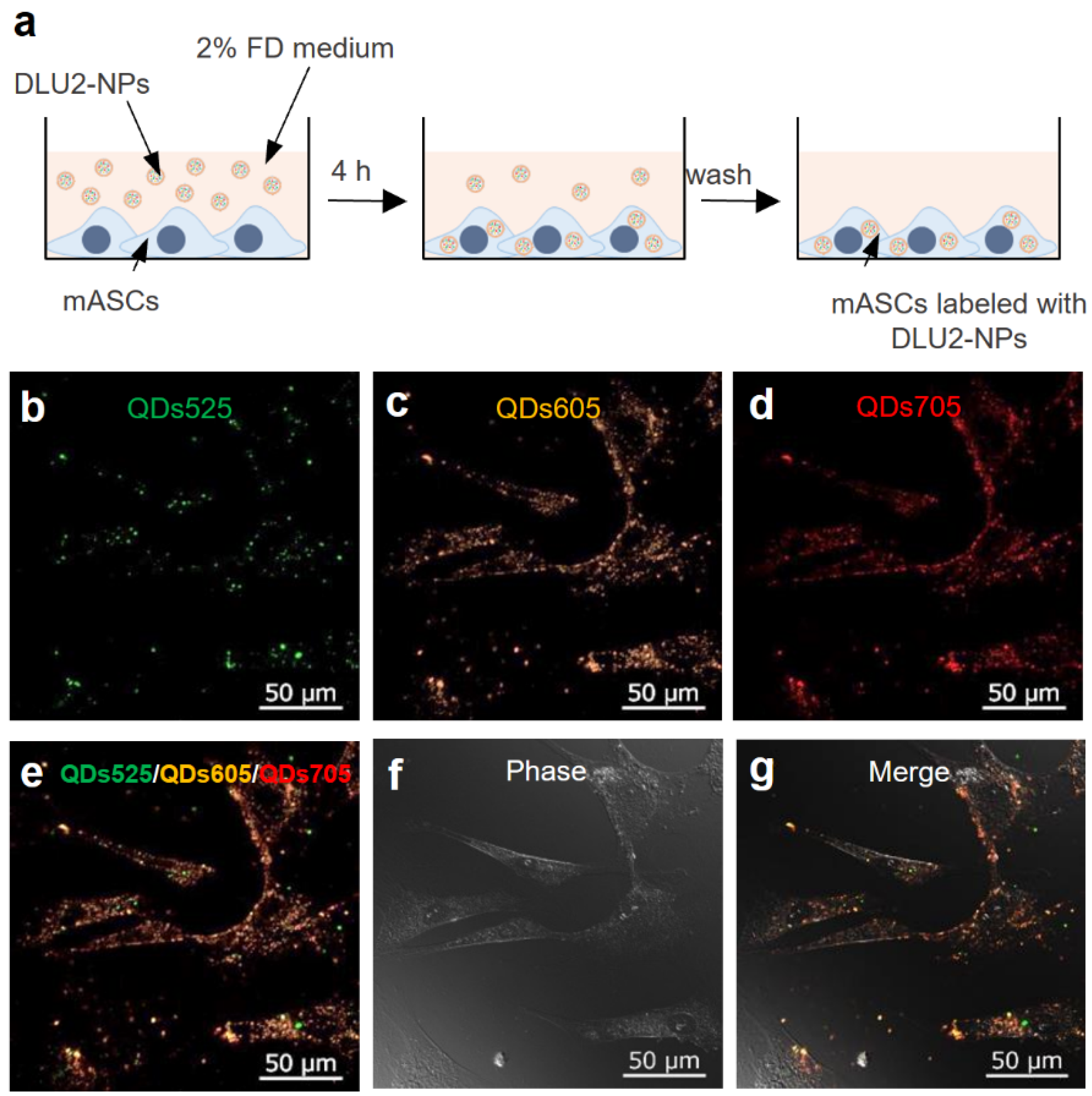 Sensors 22 05705 g002