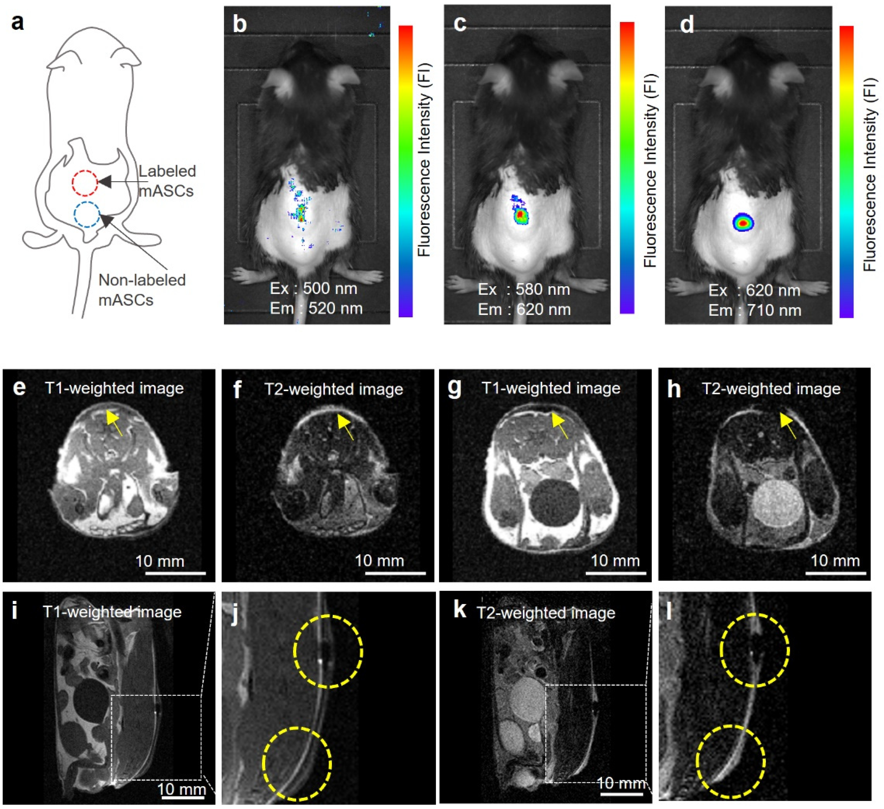 Sensors 22 05705 g005