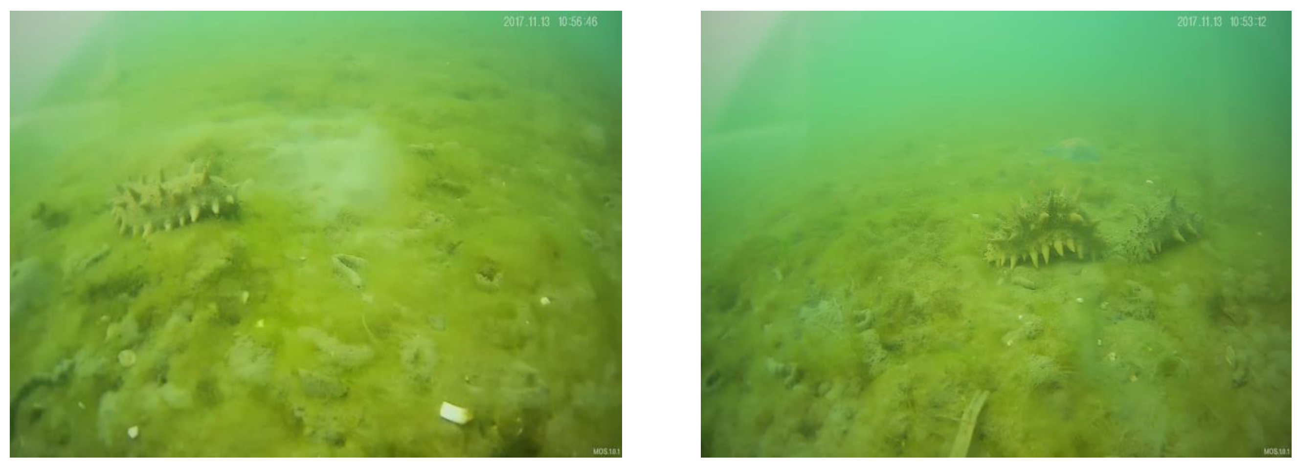 Sensors 22 05717 g003