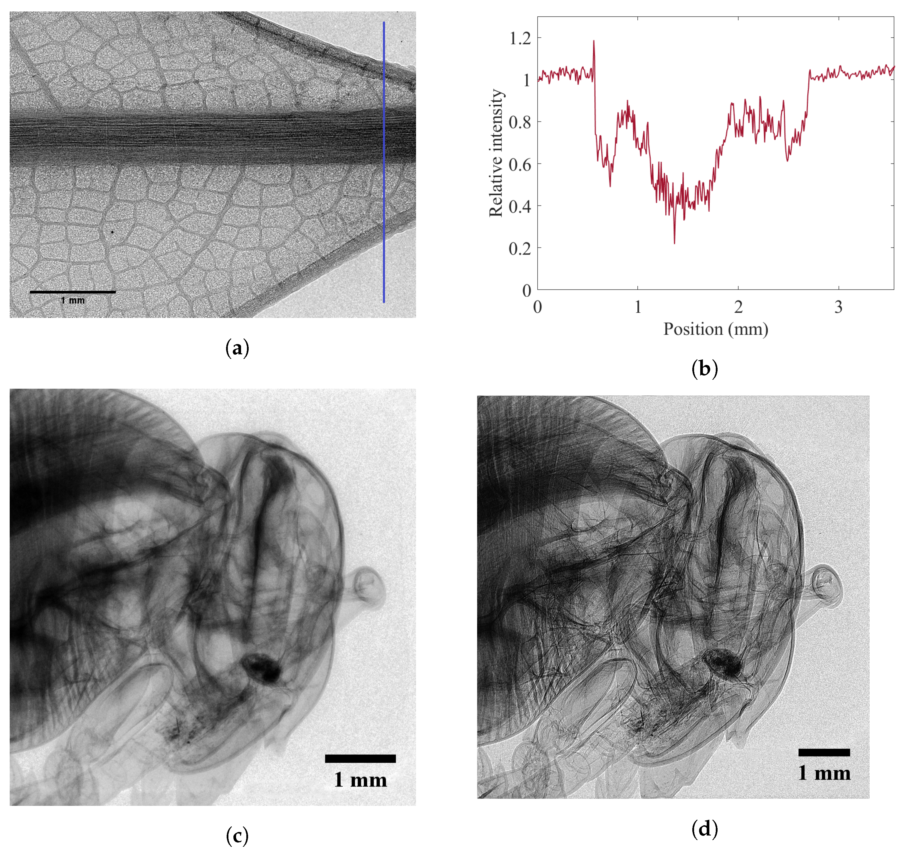 Sensors 22 05890 g016