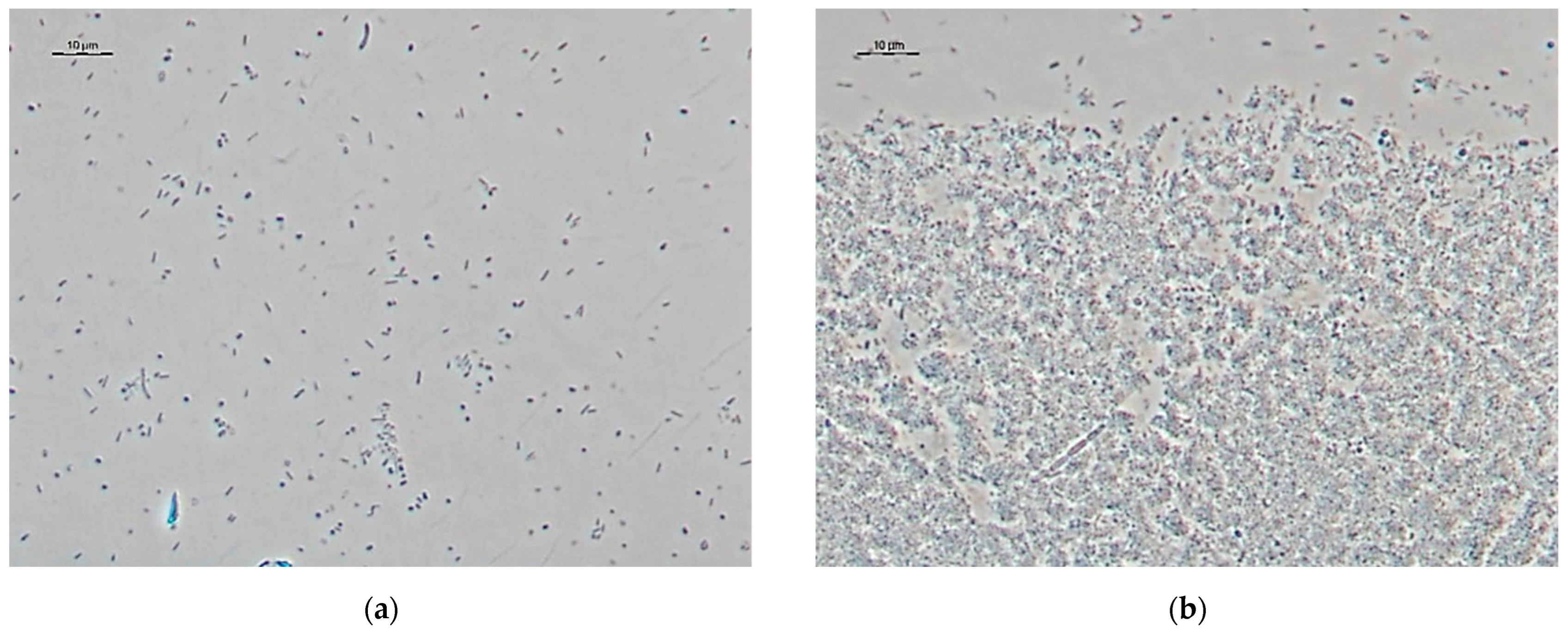 Sensors 22 06049 g001a