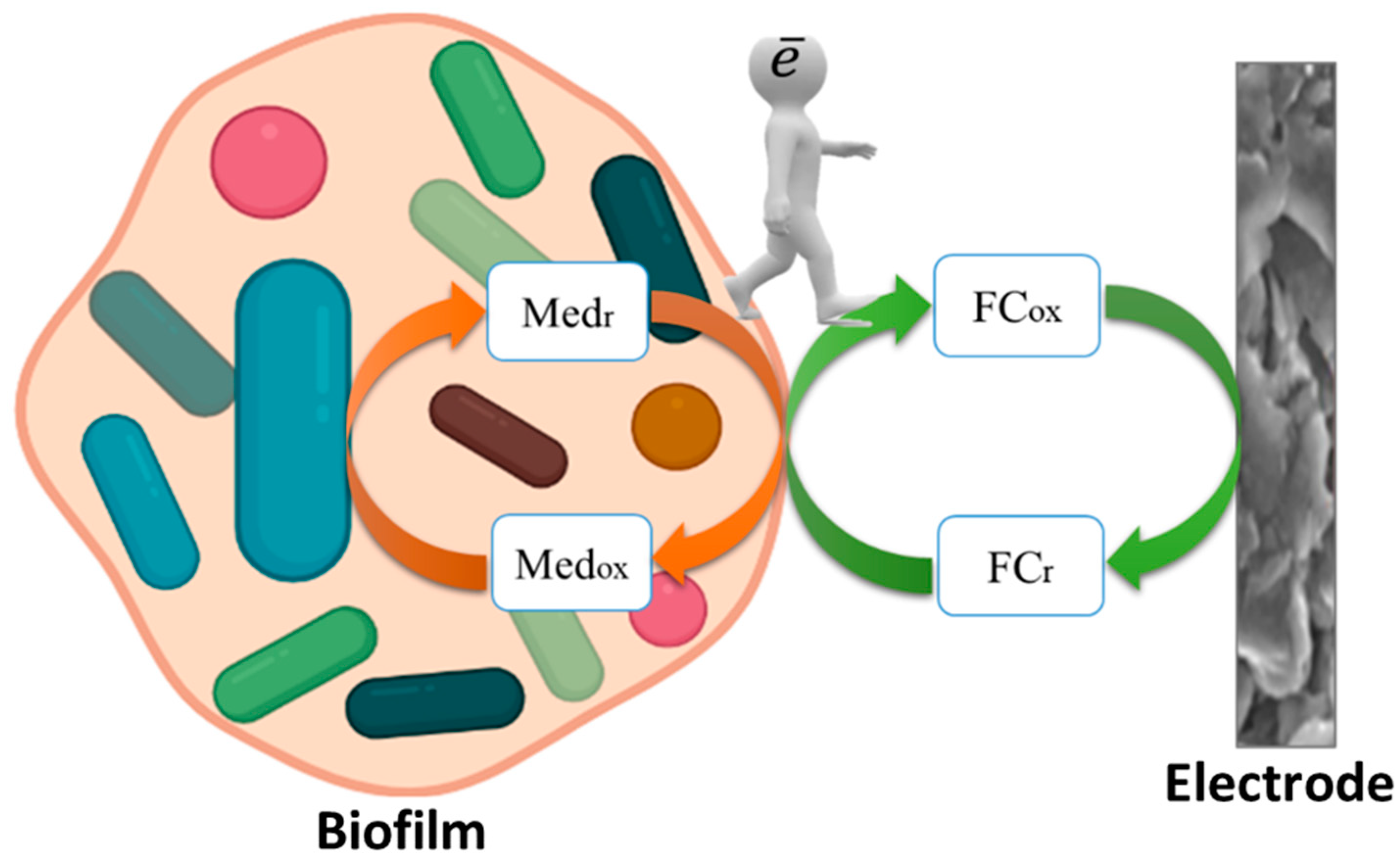 Sensors 22 06049 g003