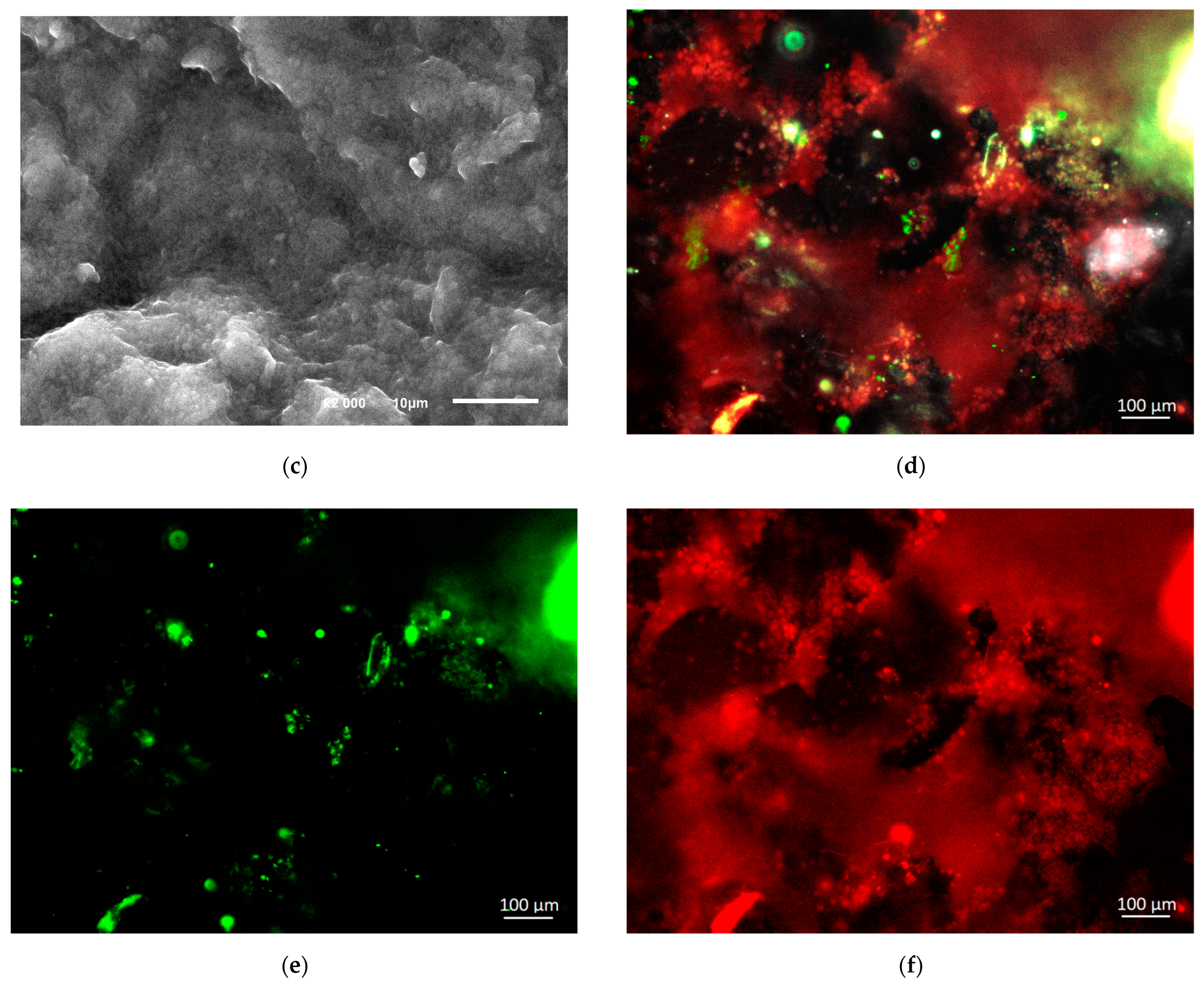 Sensors 22 06049 g004b