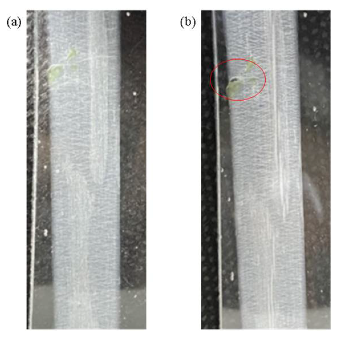 Sensors 22 06084 g011