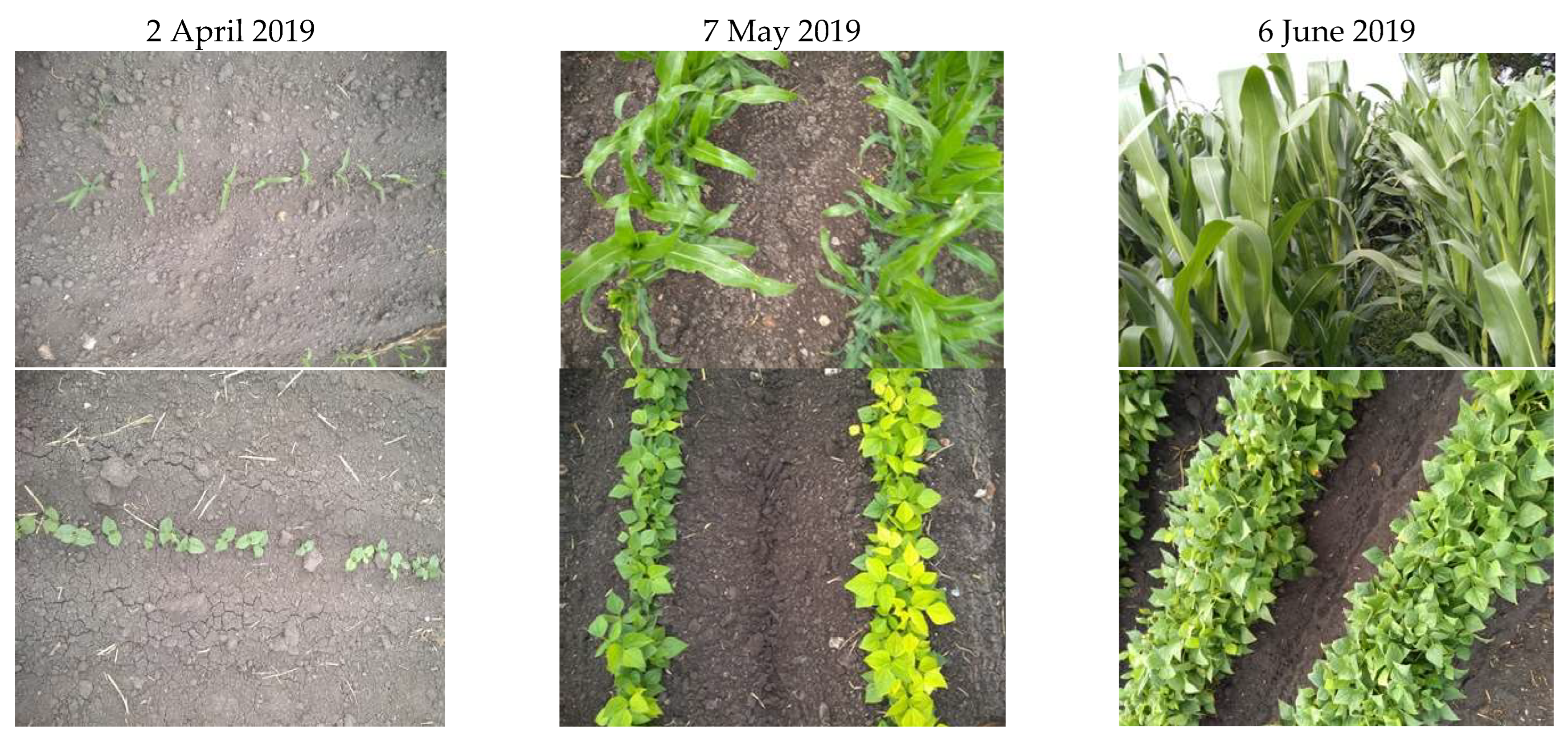 Sensors 22 06106 g007a