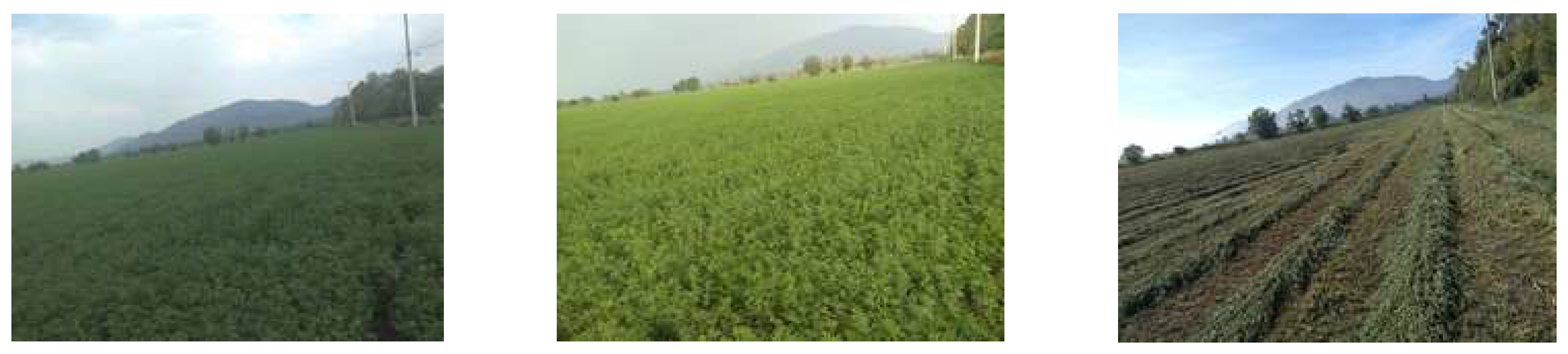 Sensors 22 06106 g007b