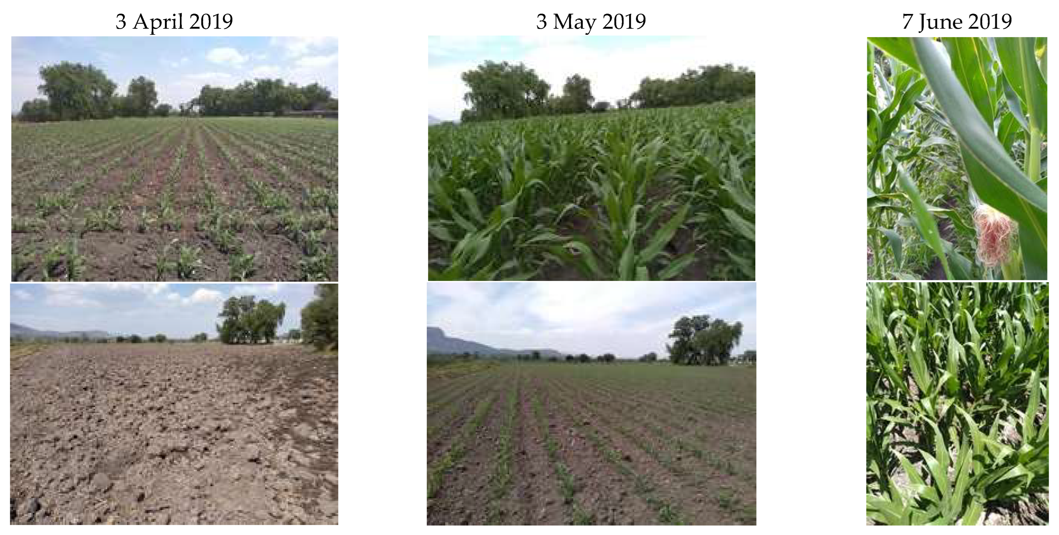 Sensors 22 06106 g008