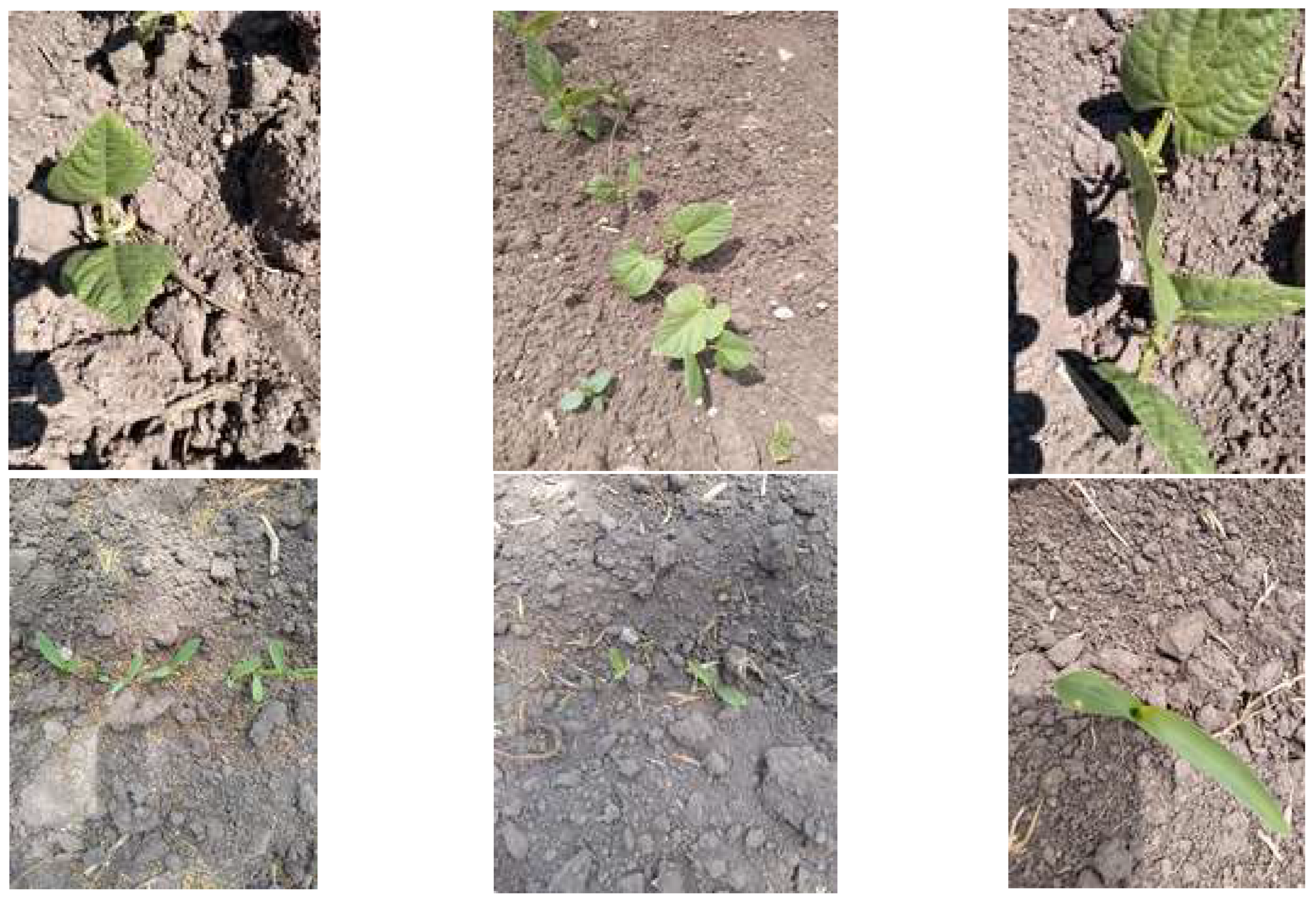 Sensors 22 06106 g010