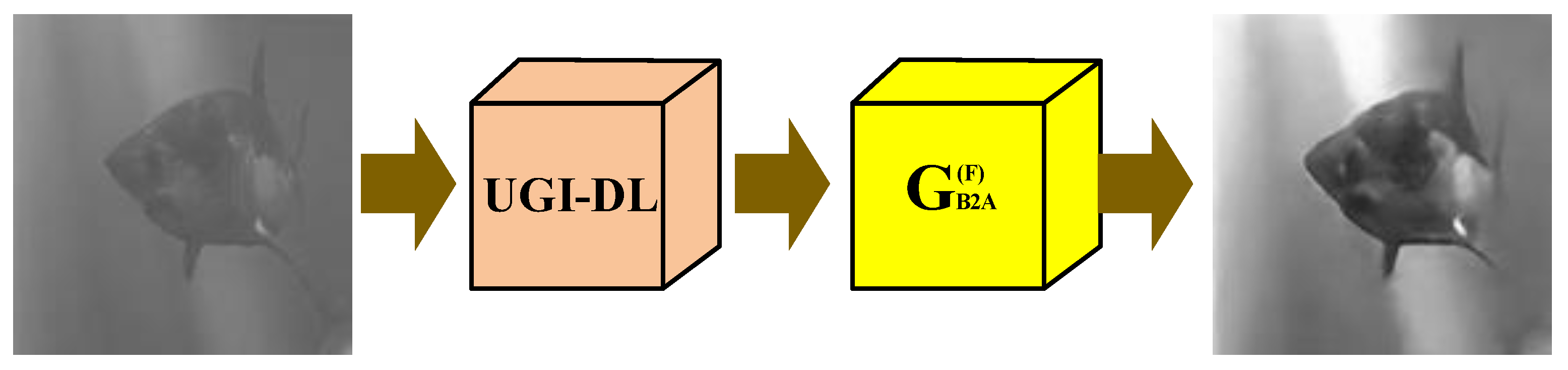 Sensors 22 06161 g004