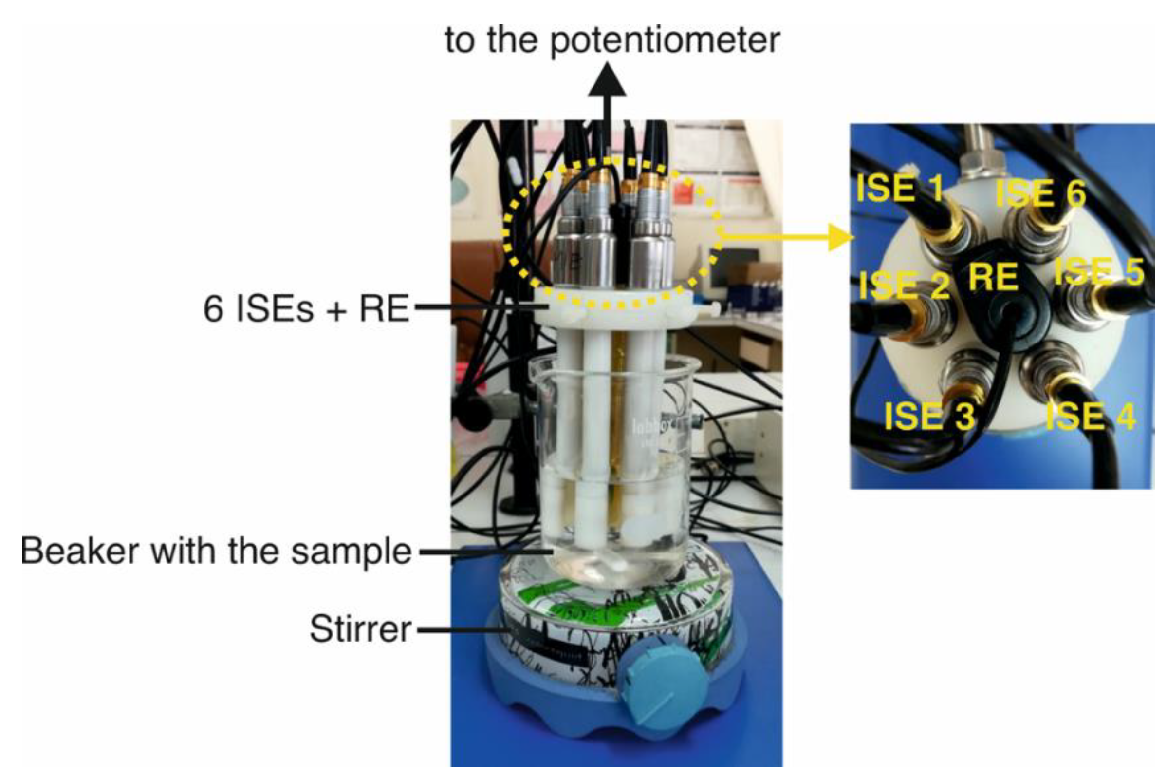 Sensors 22 06204 g001