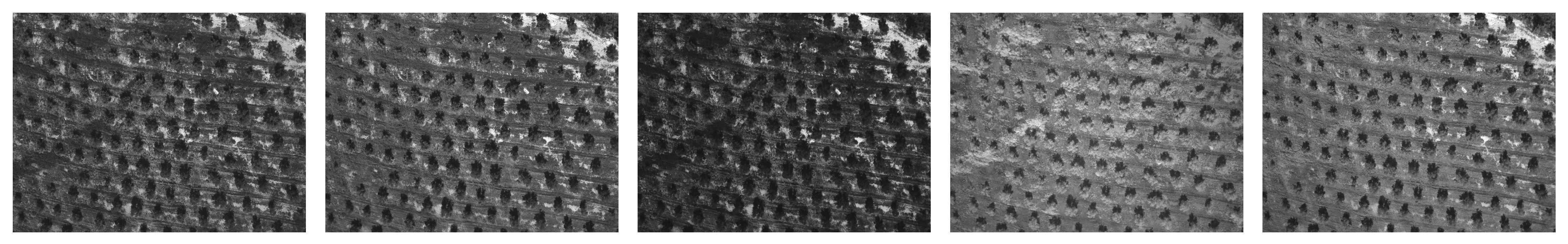 Sensors 22 06219 g002