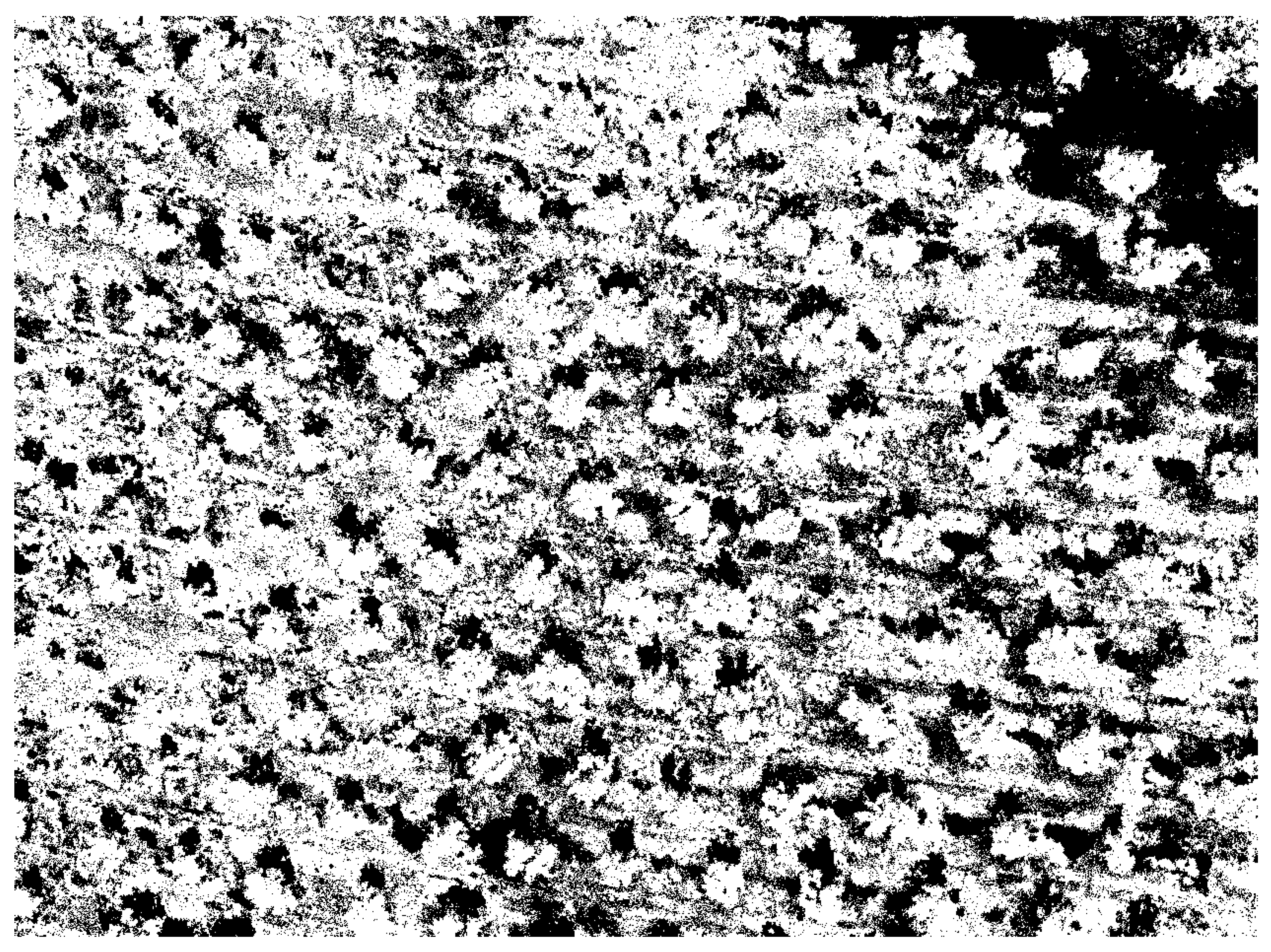 Sensors 22 06219 g004