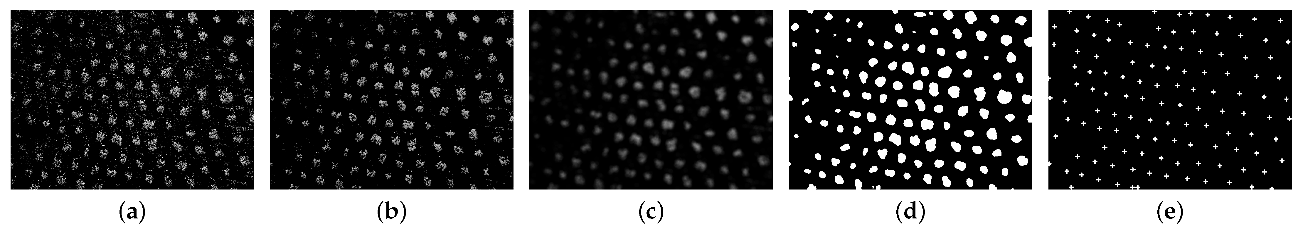 Sensors 22 06219 g006