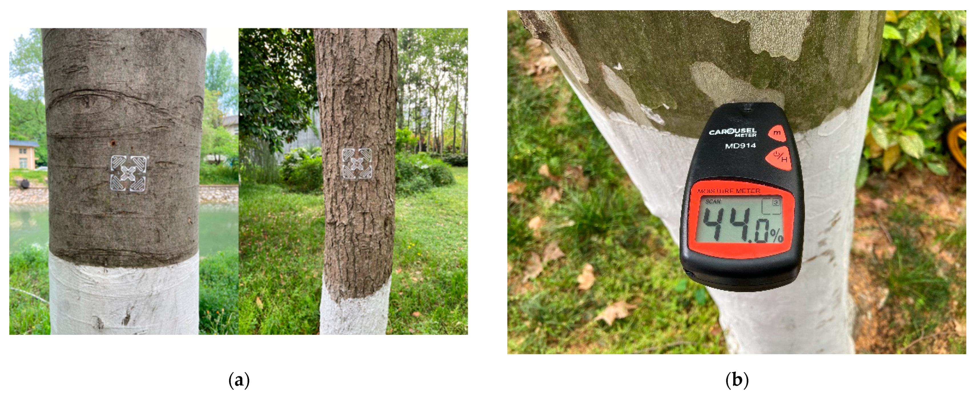 Sensors 22 06287 g009