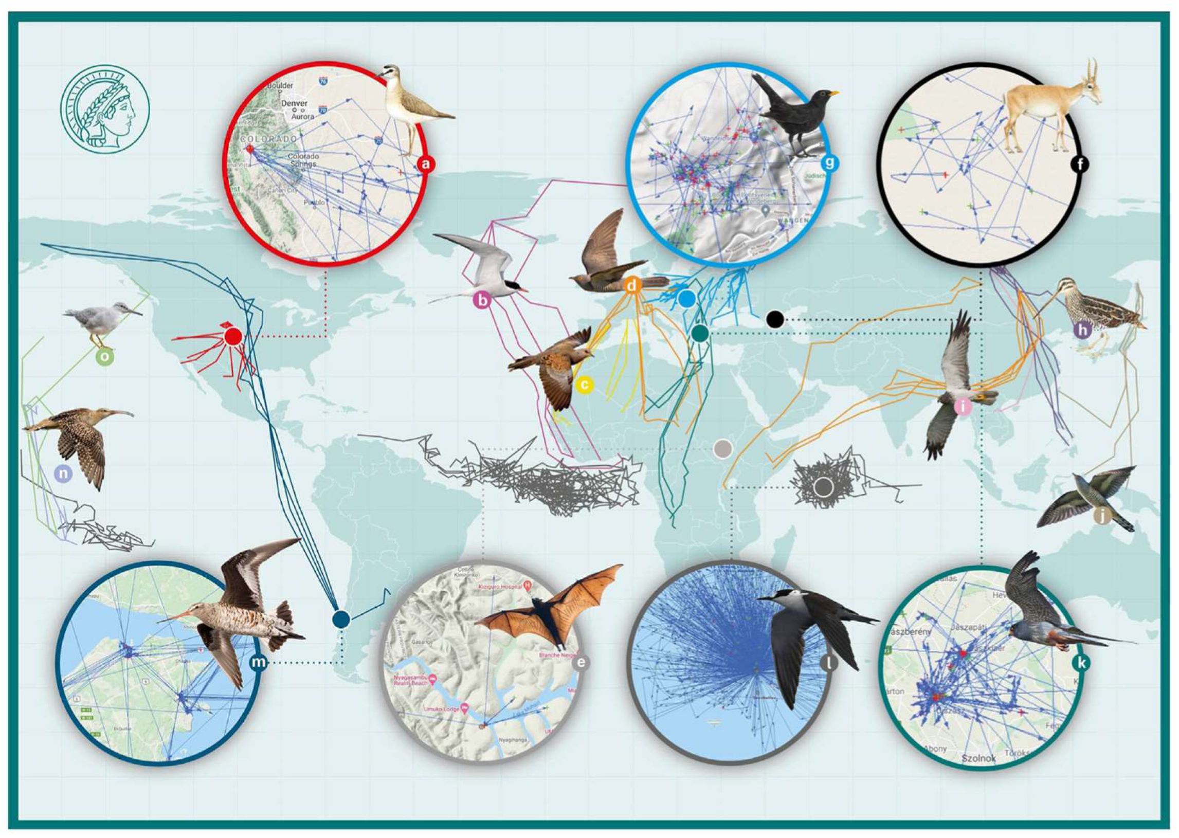 Sensors 22 06329 g019