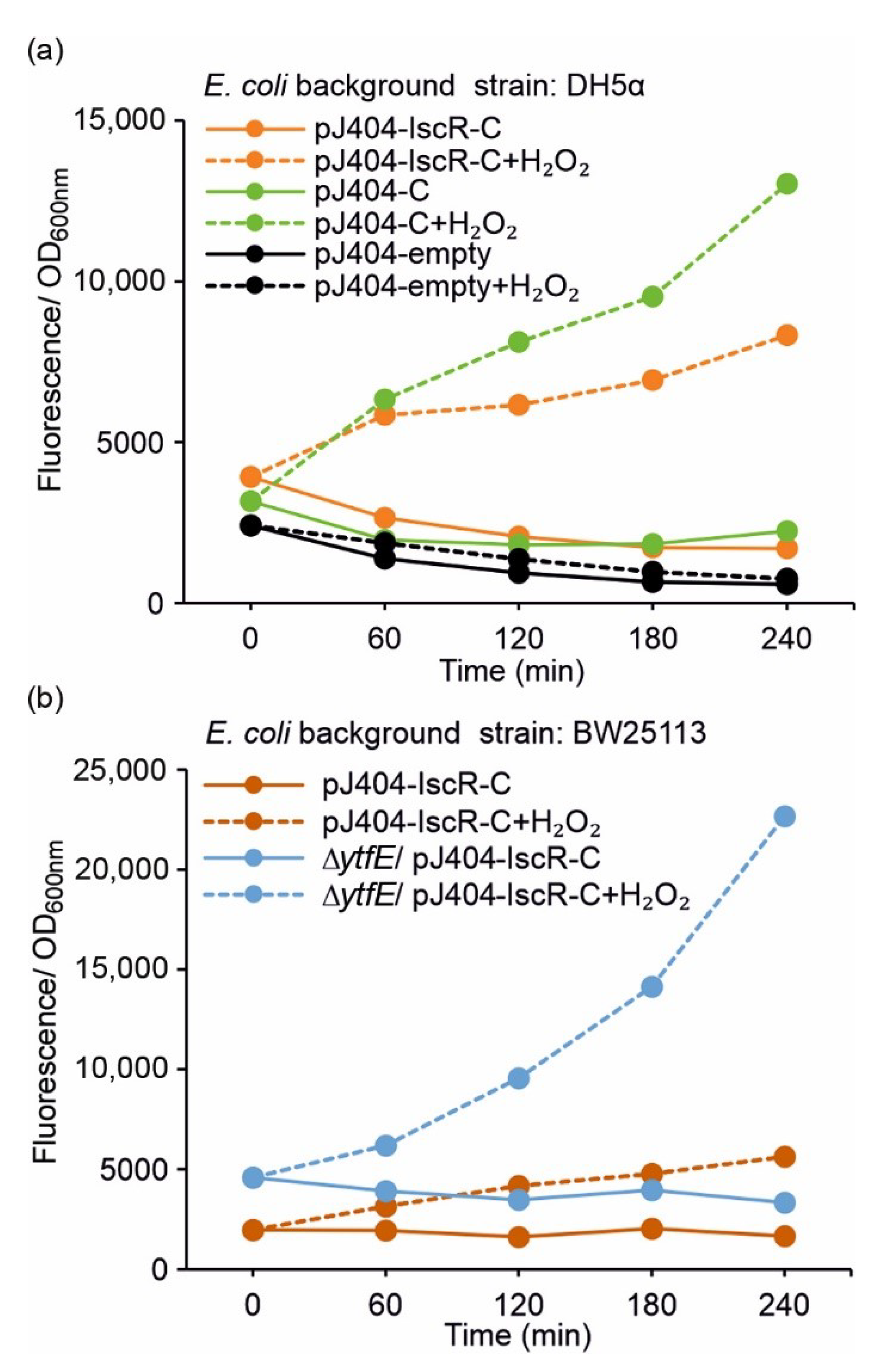 Sensors 22 06334 g003