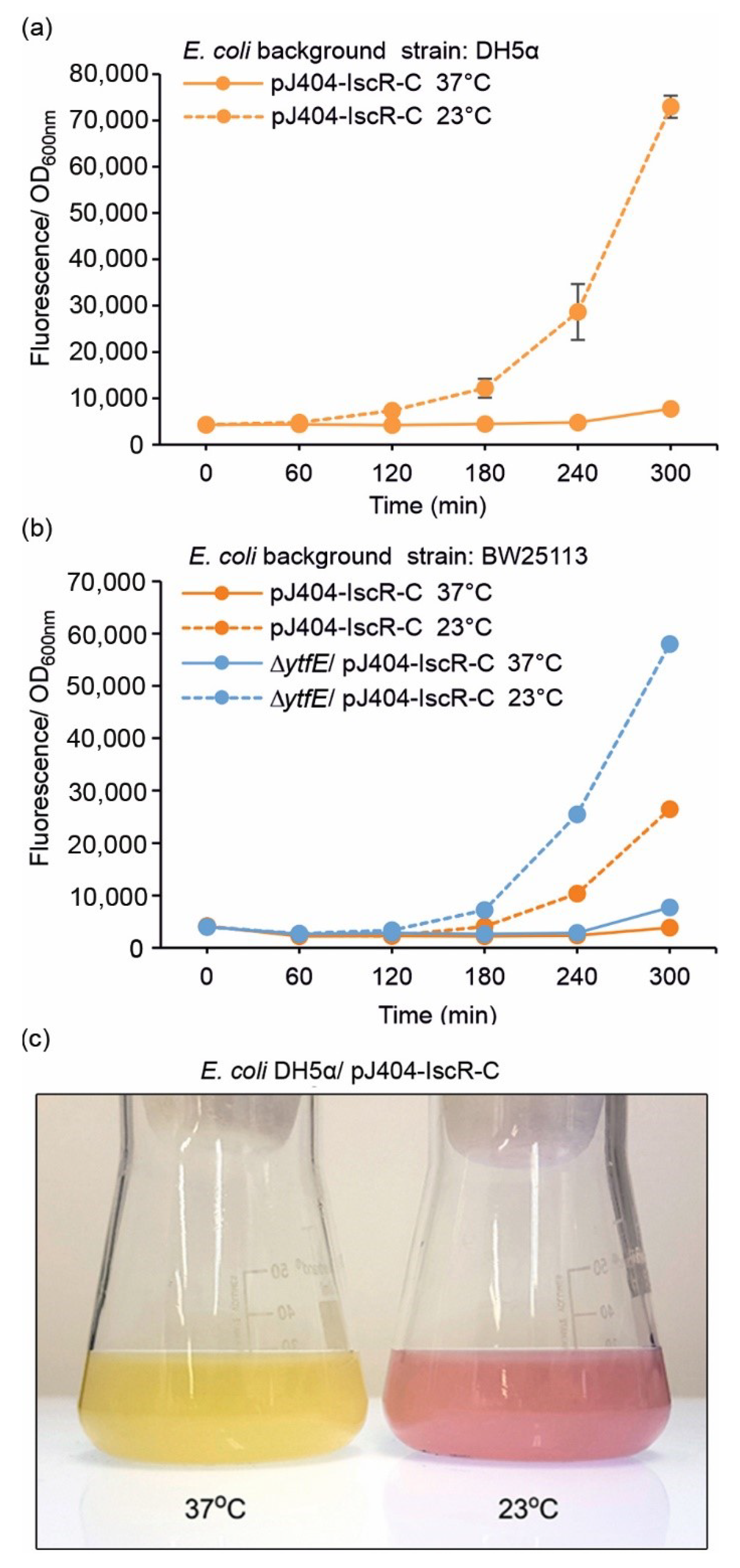 Sensors 22 06334 g004