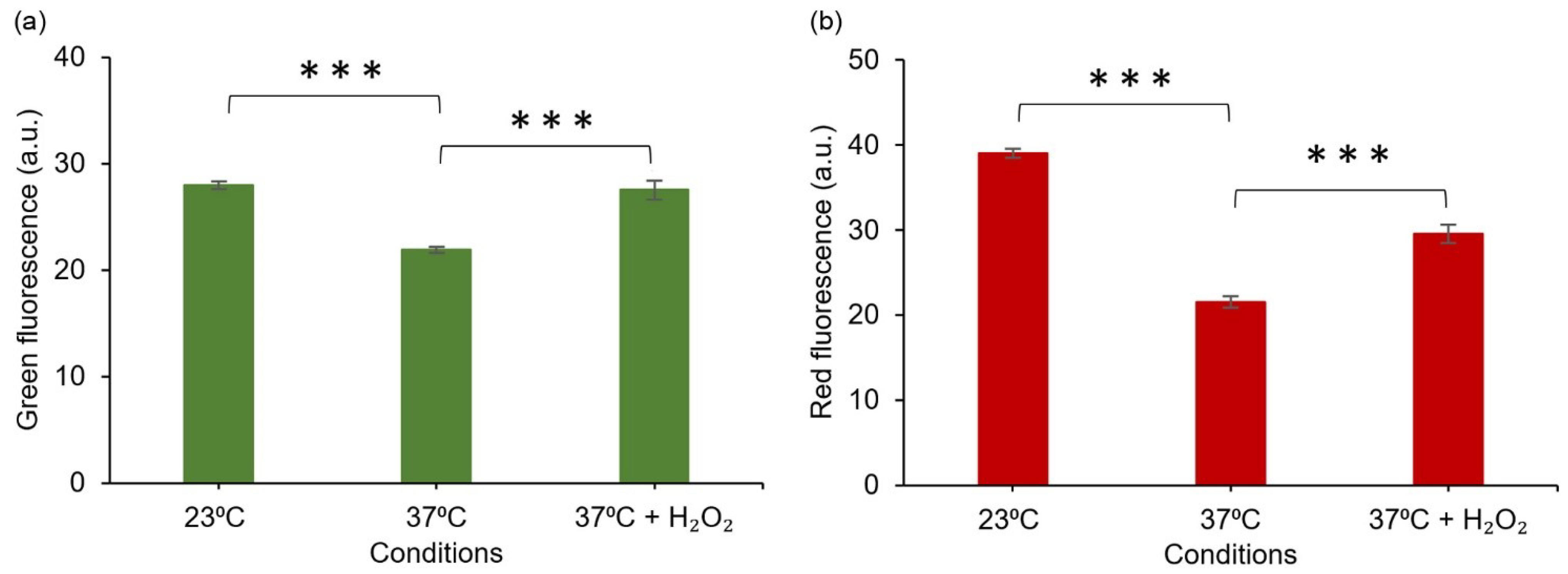 Sensors 22 06334 g007