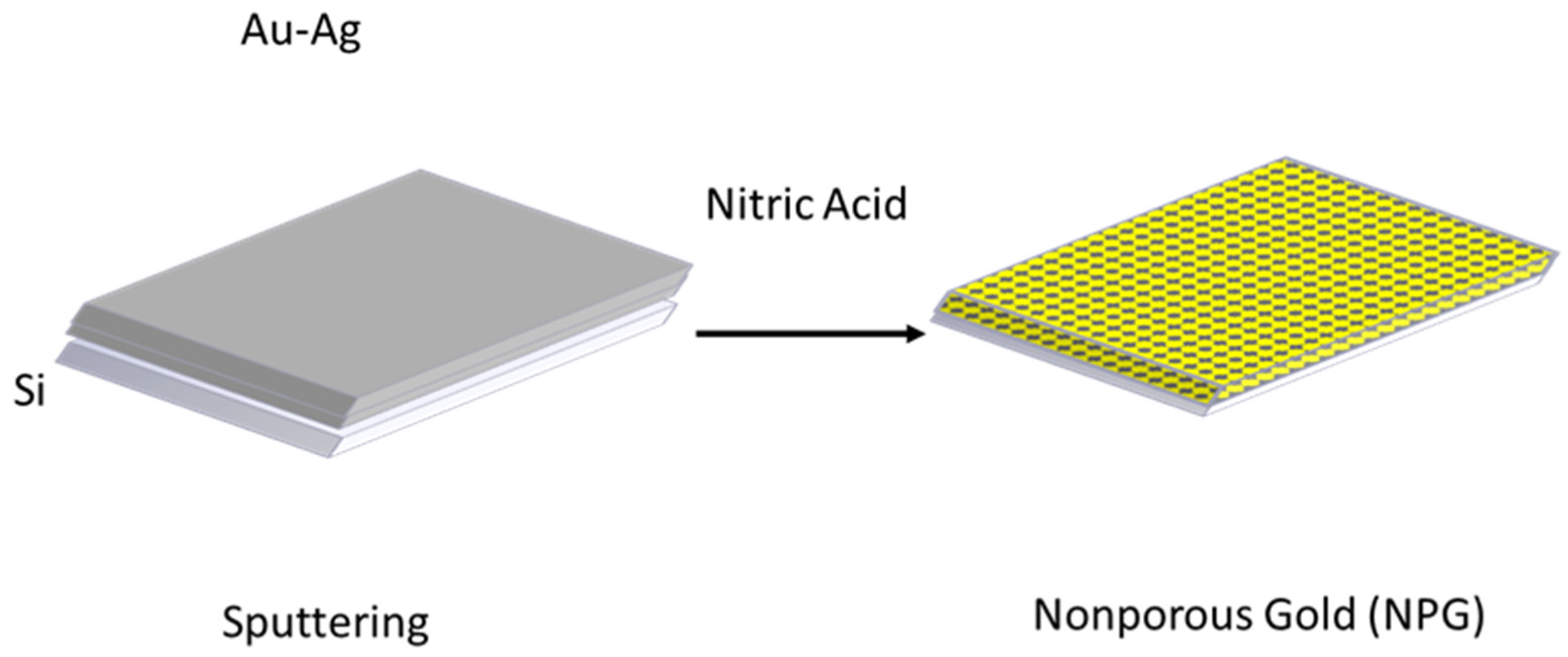 Sensors 22 06347 g001