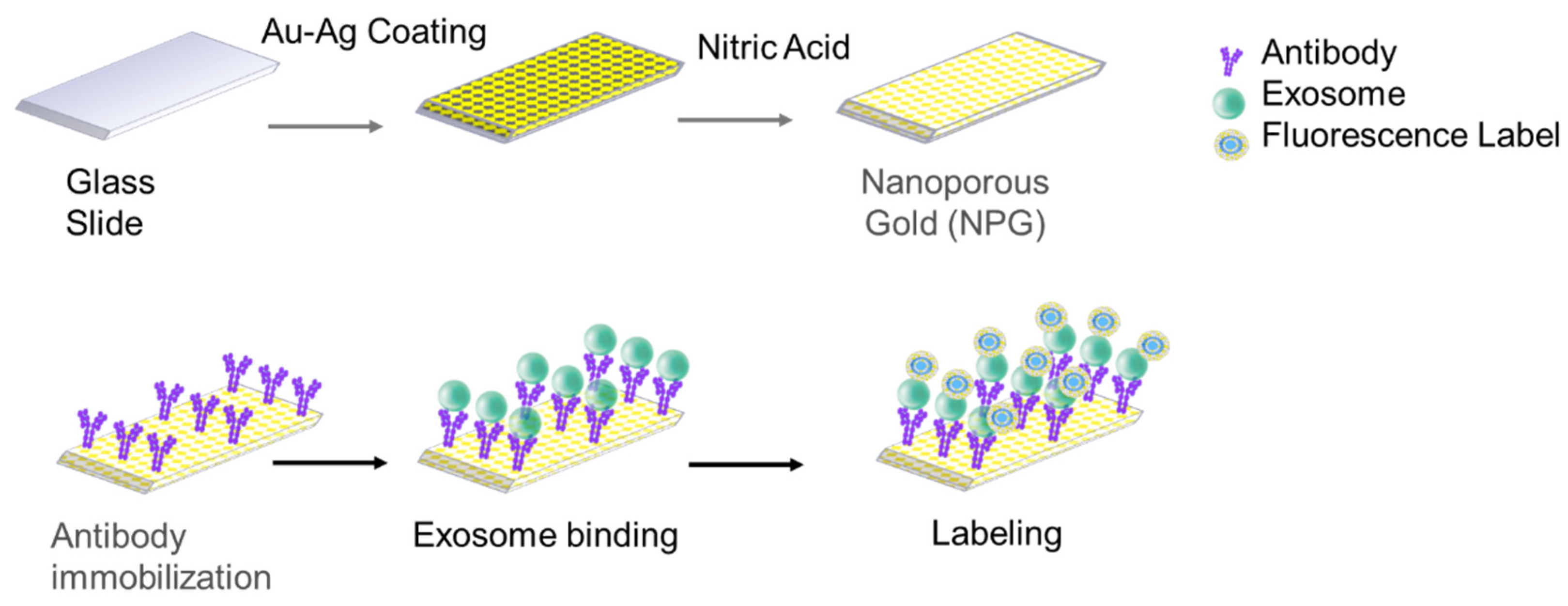 Sensors 22 06347 g002