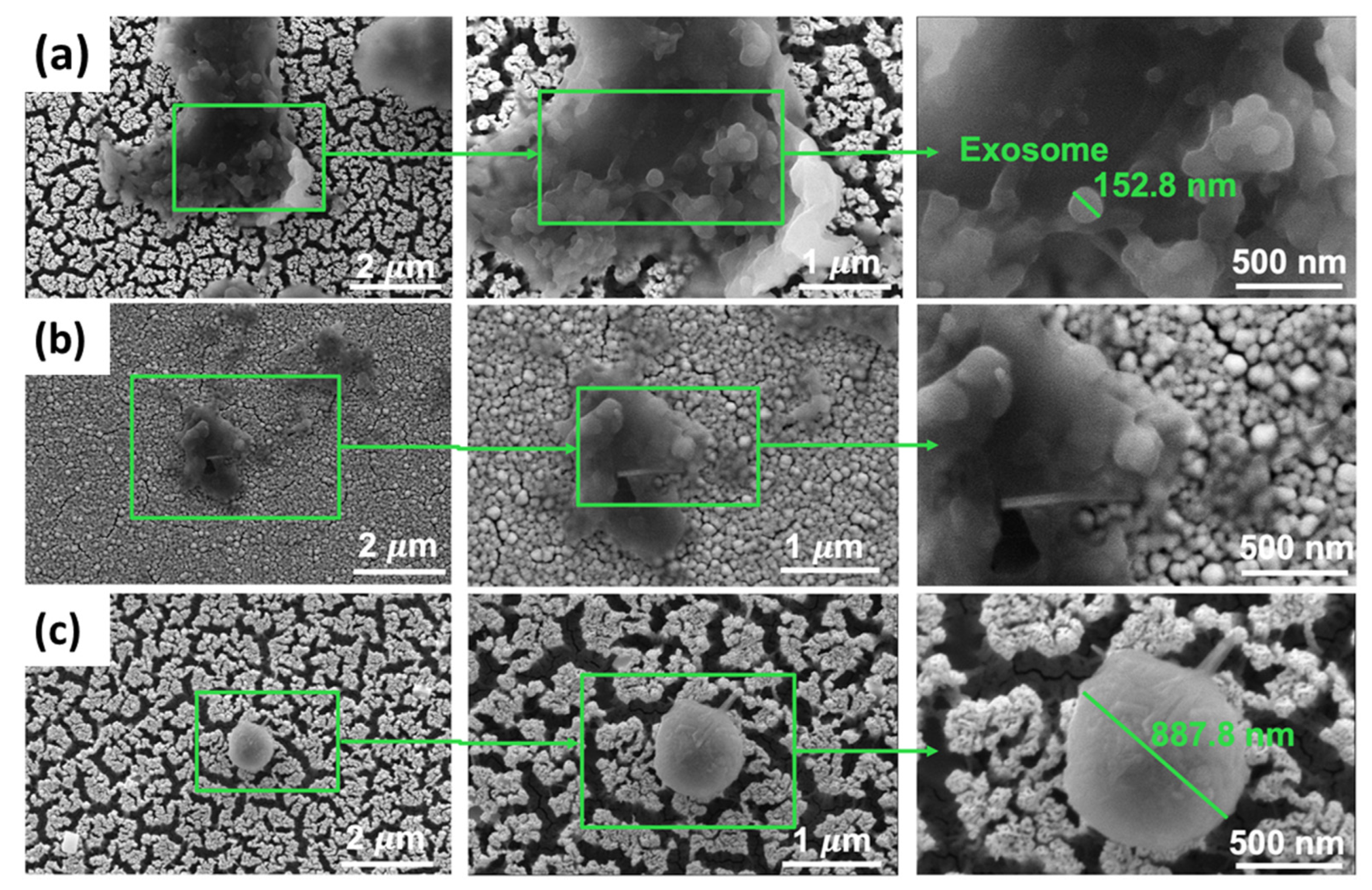 Sensors 22 06347 g006