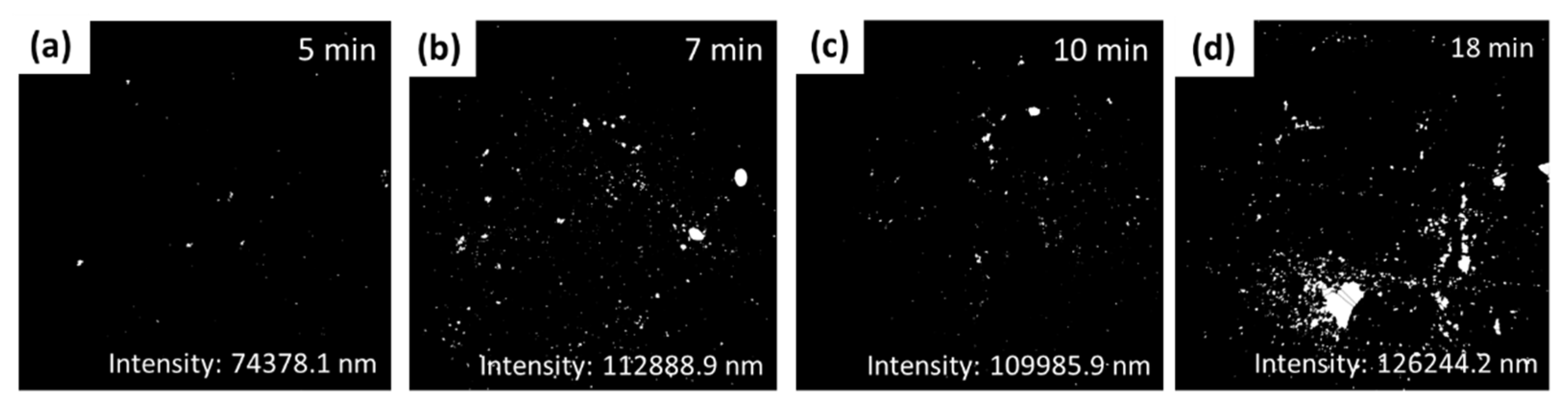 Sensors 22 06347 g009
