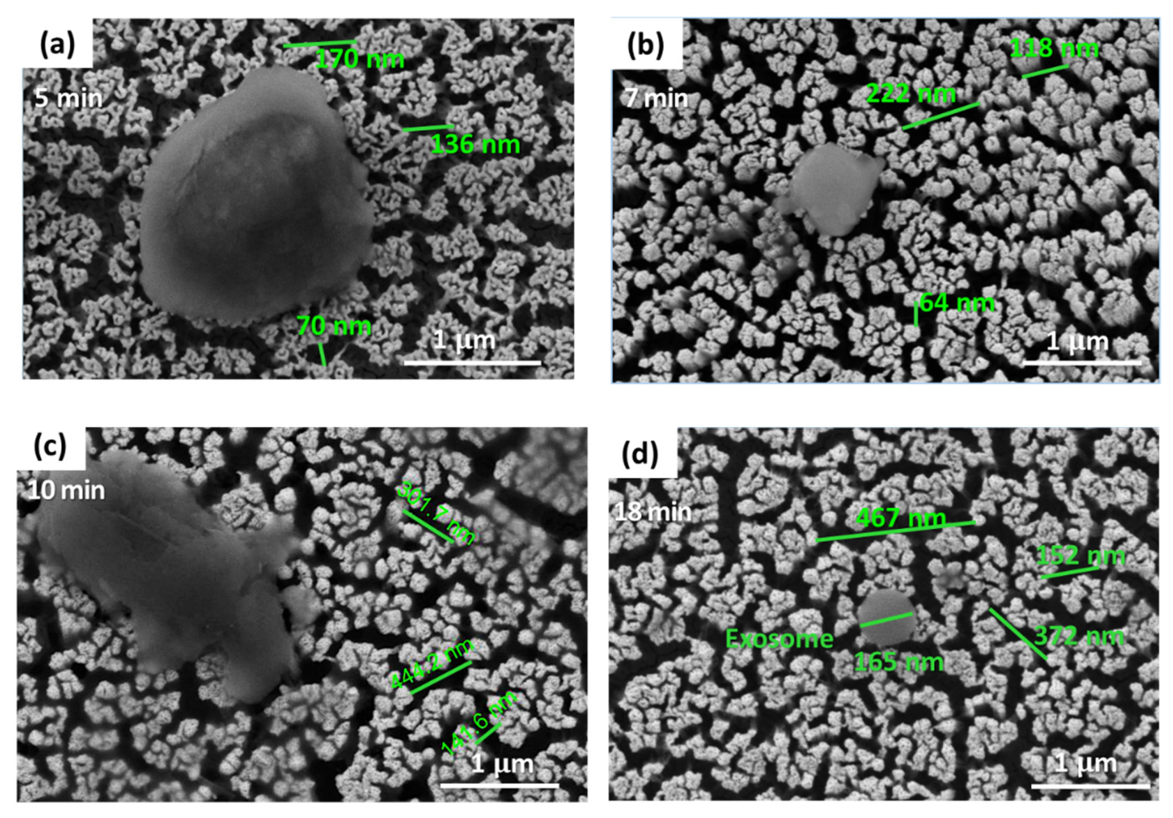 Sensors 22 06347 g011