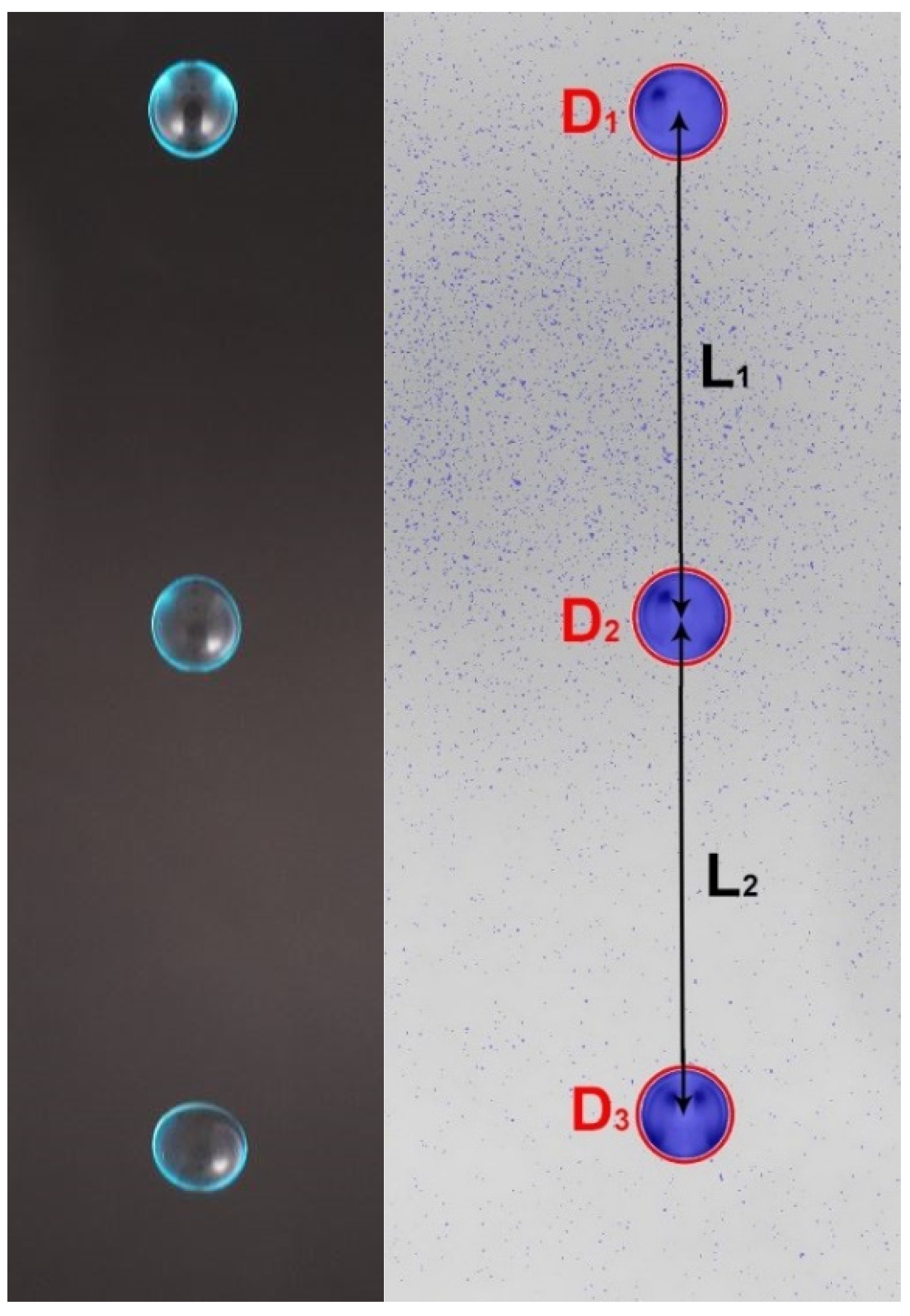 Sensors 22 06413 g005