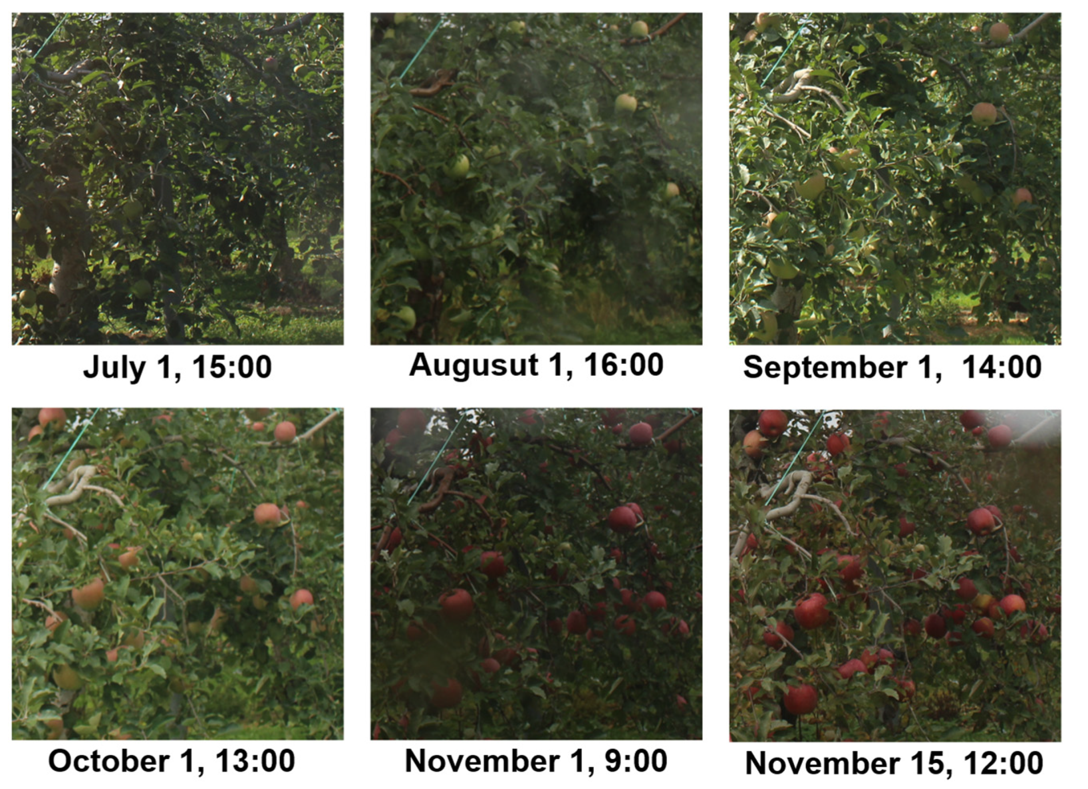 Sensors 22 06473 g008