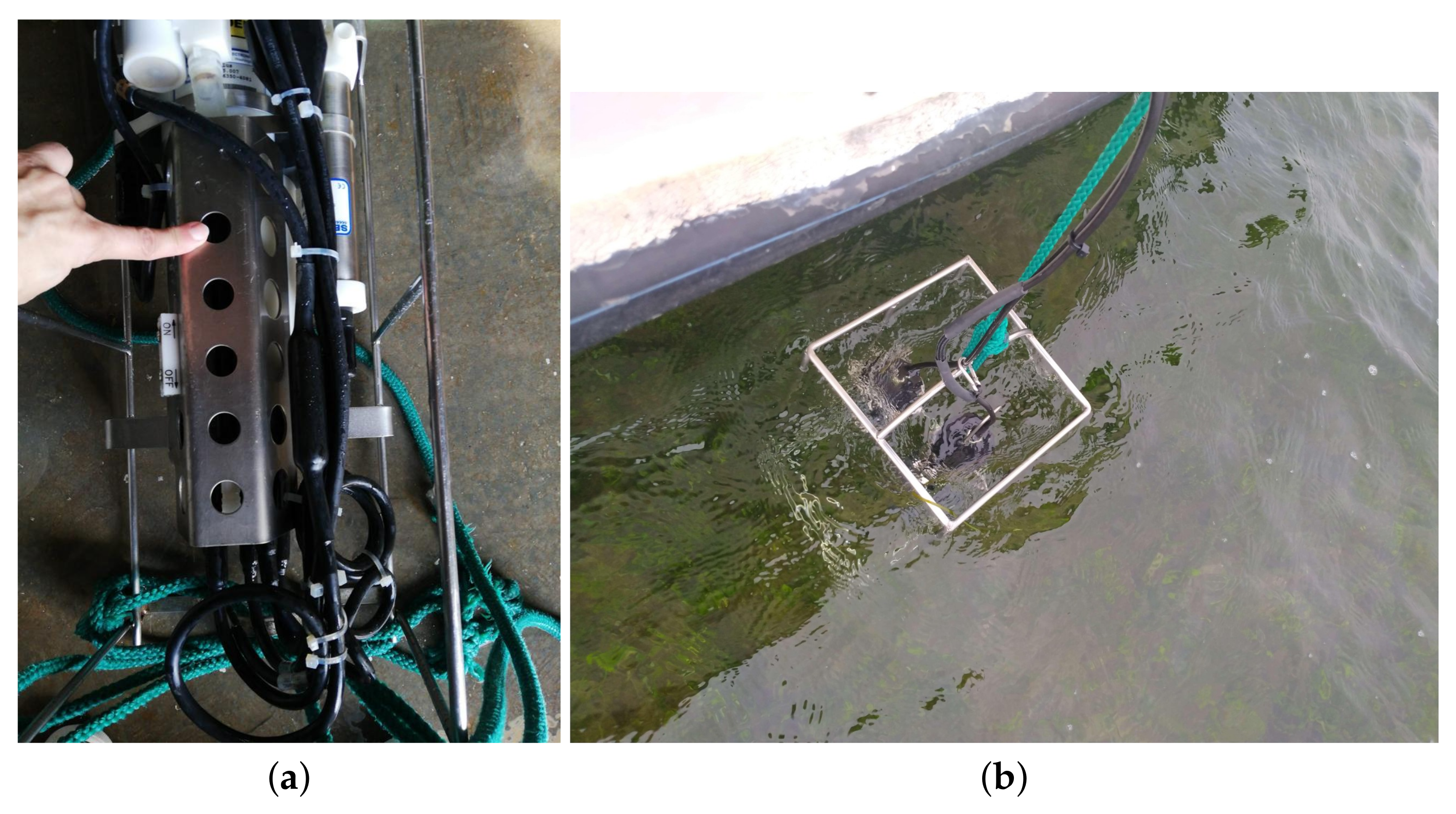 Sensors 22 06507 g004