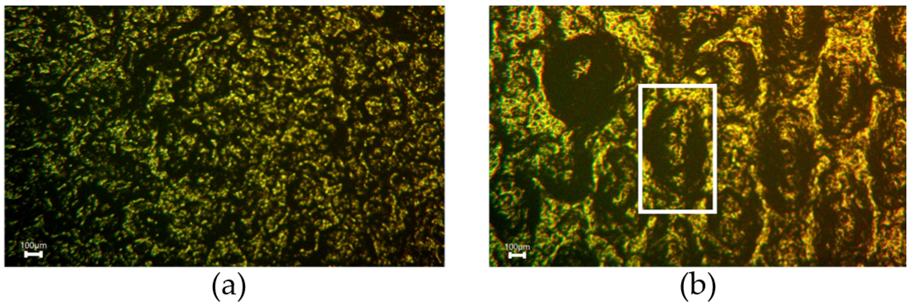 Sensors 22 06530 g011